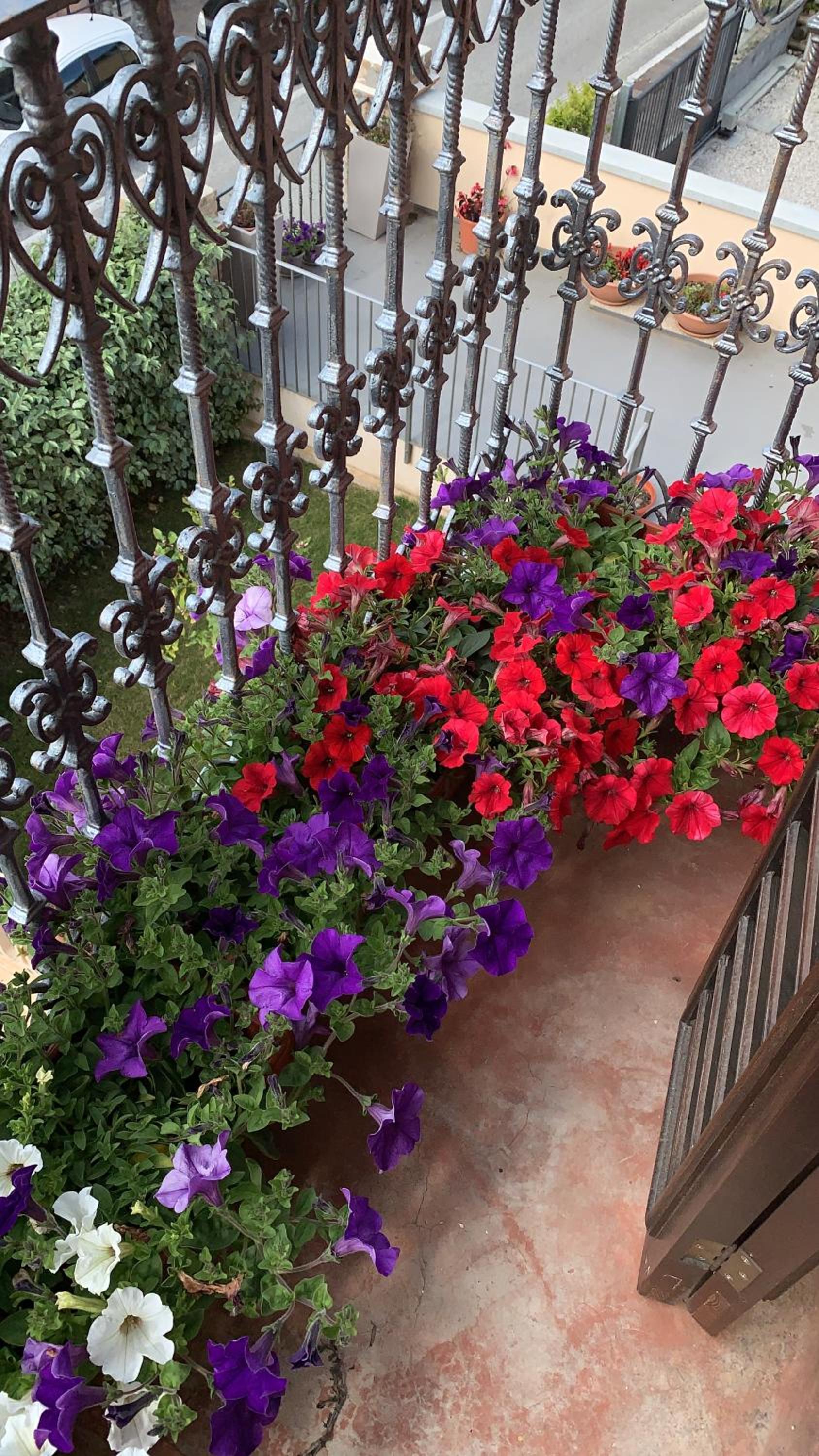 Villa Mascitti B&B Tortoreto Alto