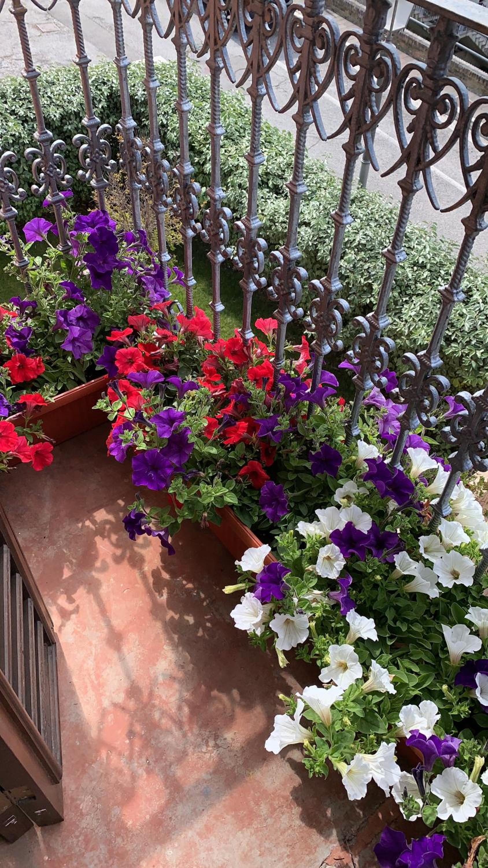 Villa Mascitti B&B Tortoreto Alto