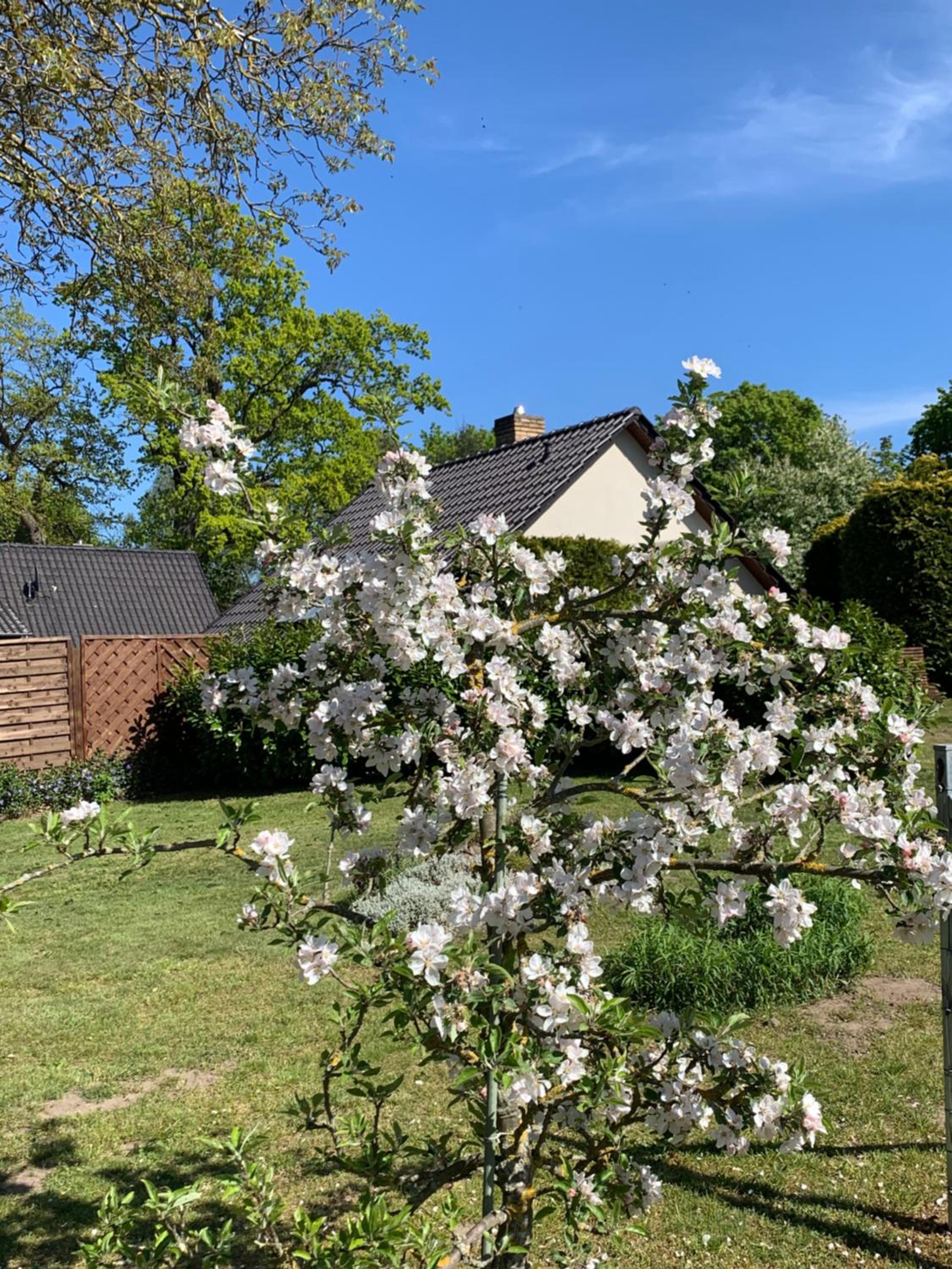 „Rentmeisterhaus Basedow“