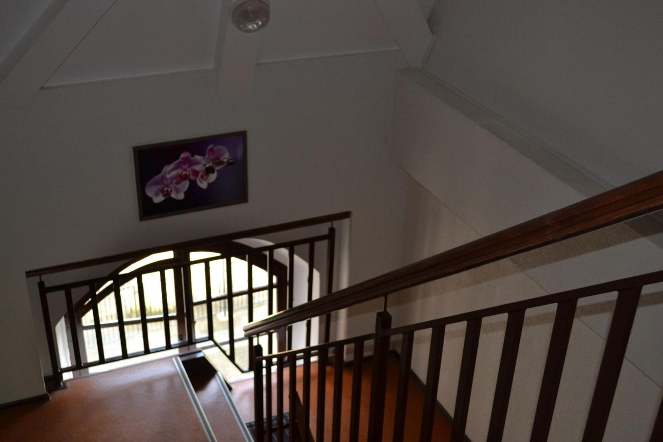 Luksus Apartamenty - Mariacka