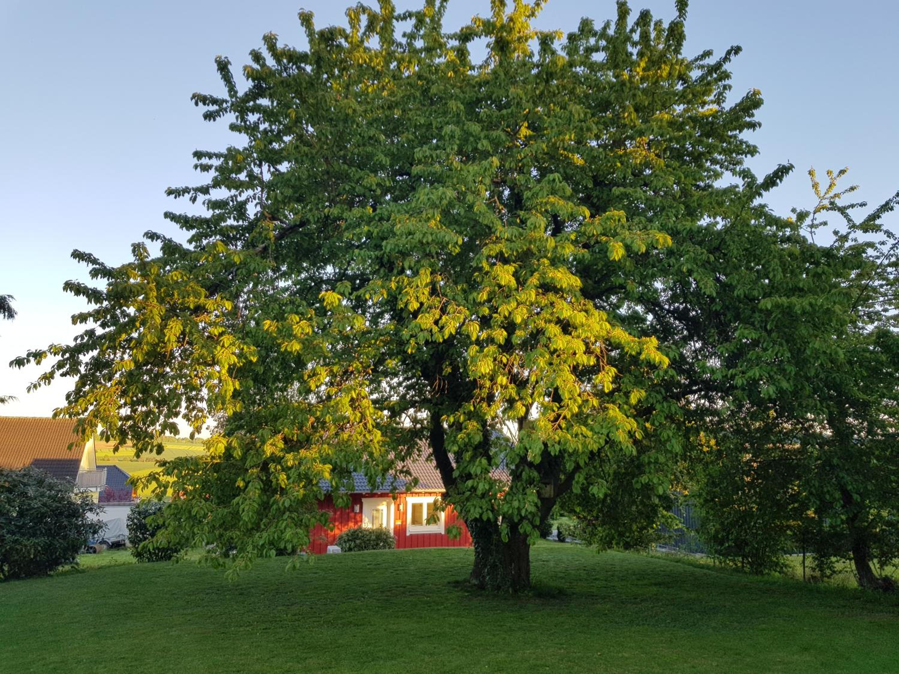 Ferienhaus Löh