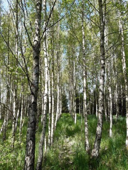 Photo 24