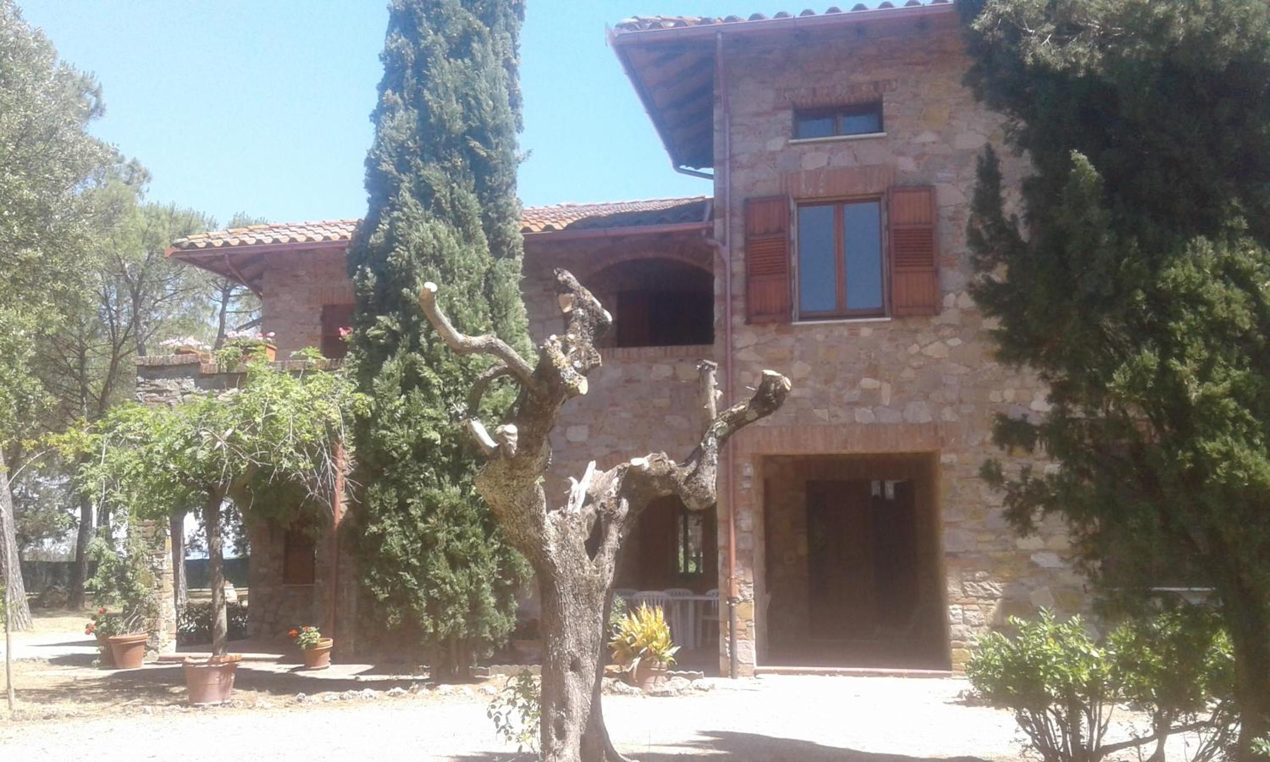 Photo 8