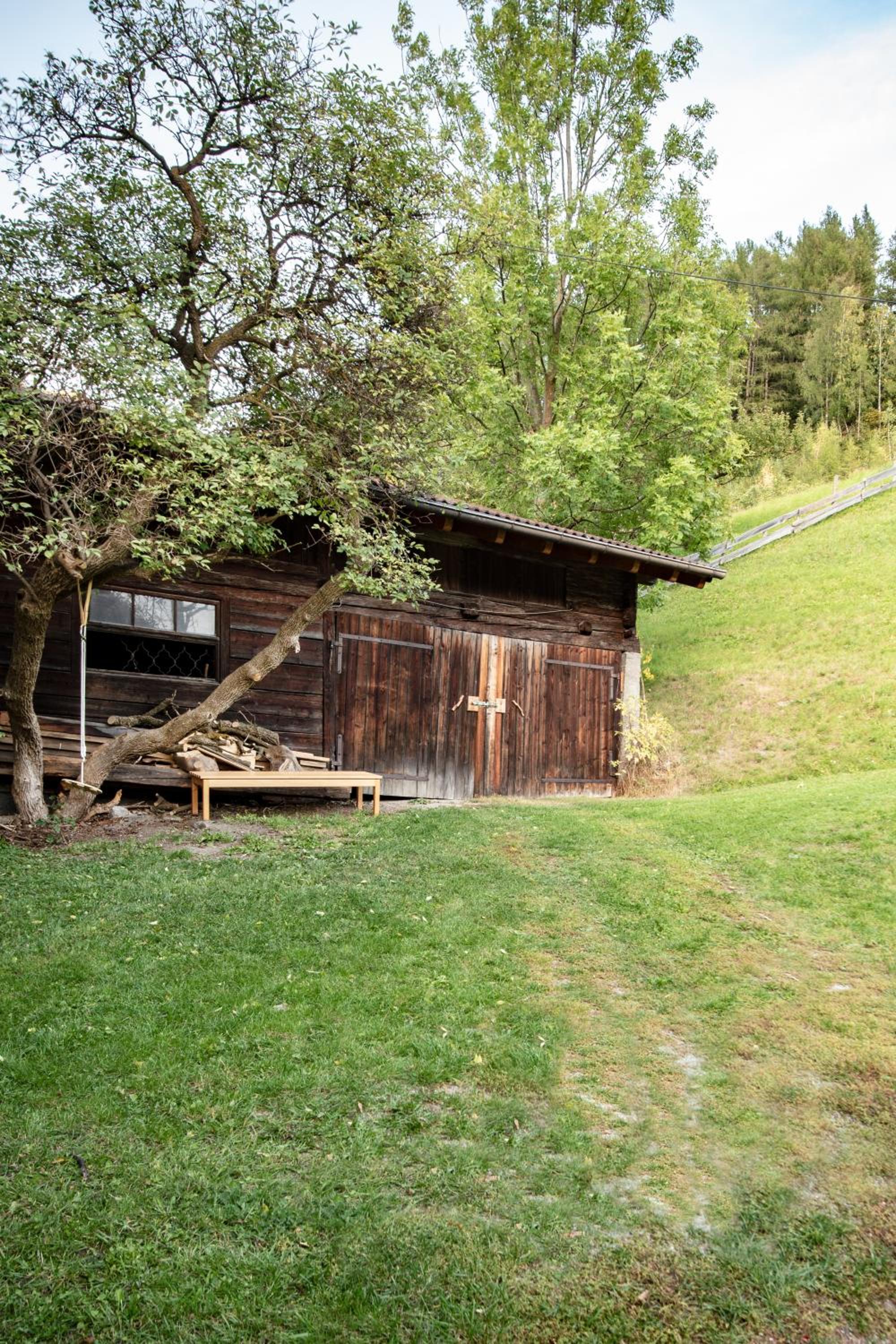 Photo 12