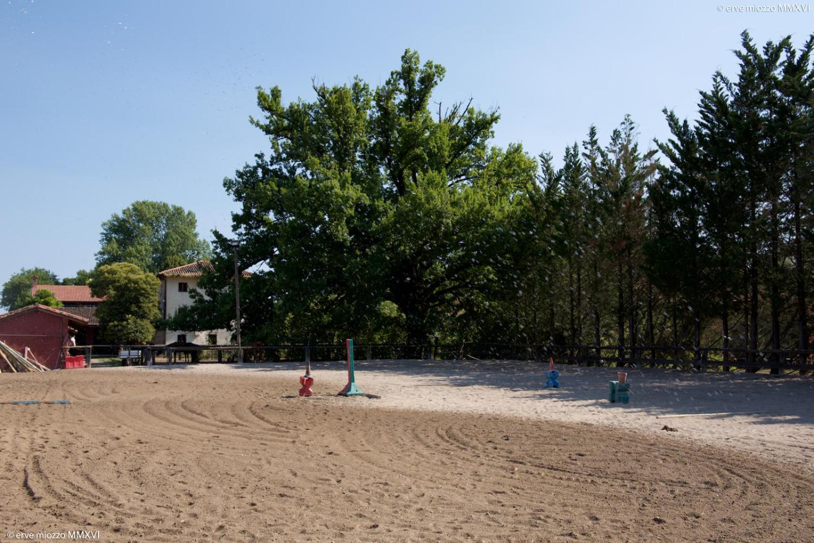Villa Mainardi Agriturismo view 5