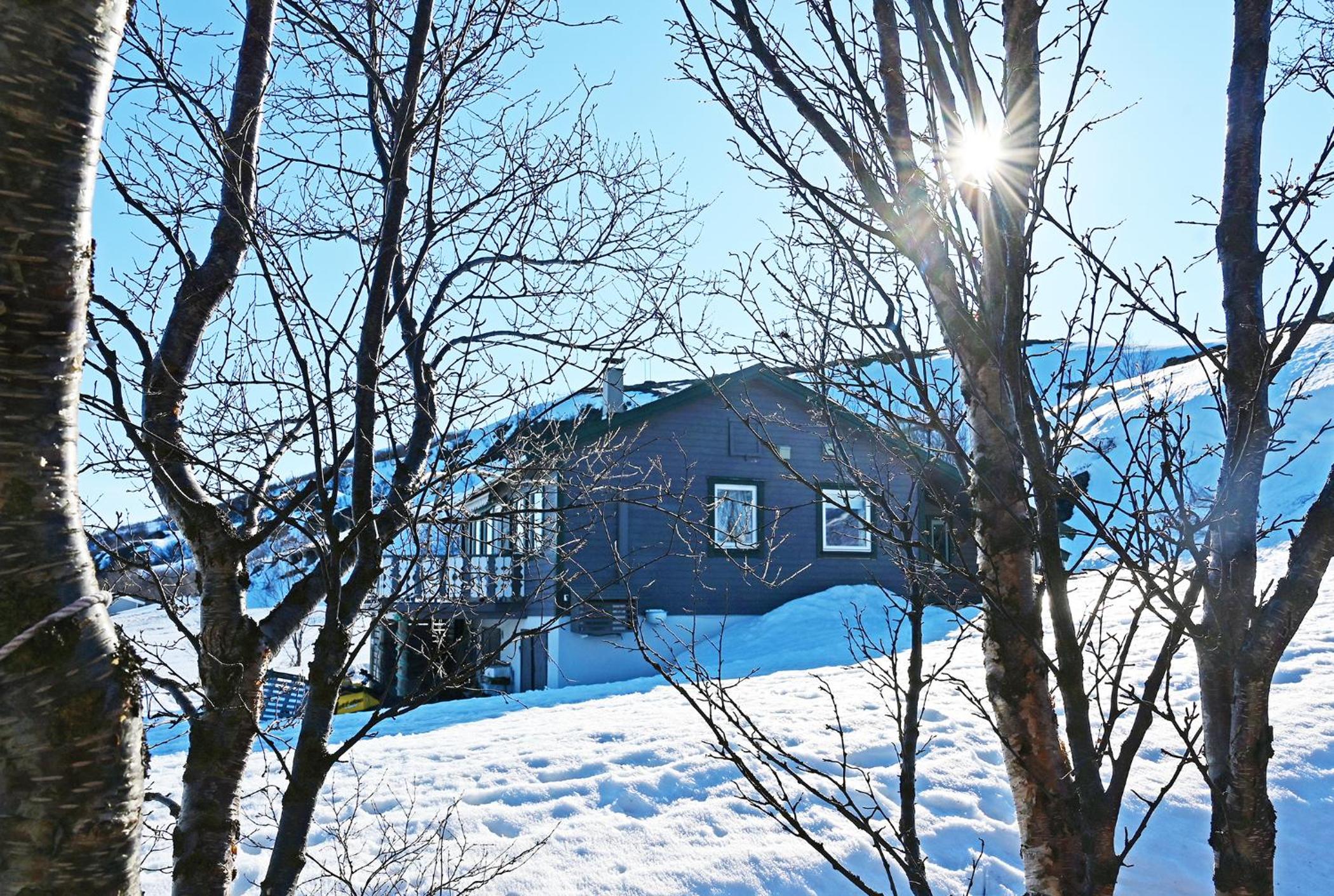 Photo 8