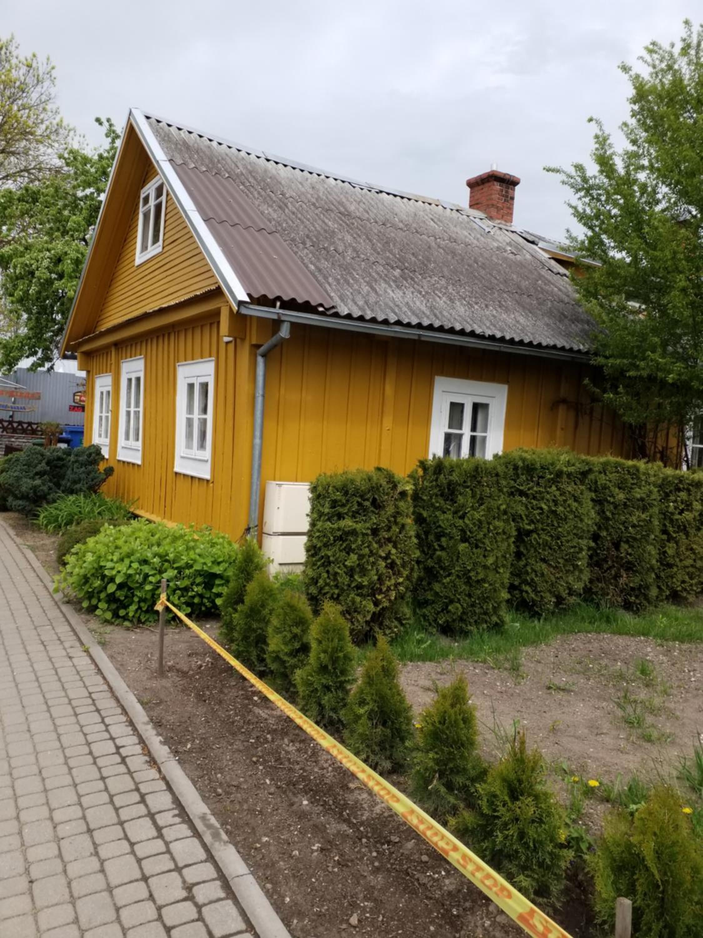 Photo 8