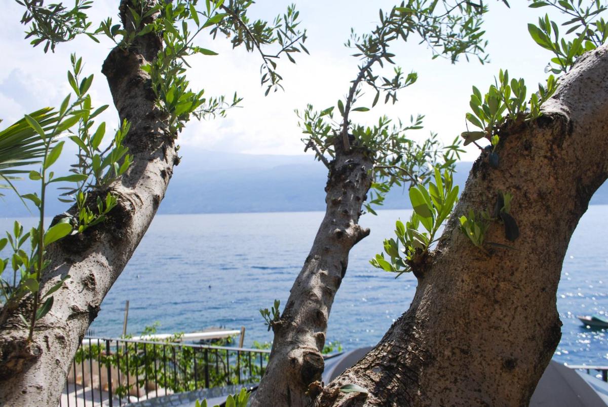 Villa I Cipressi - Rebomaholidays view 2