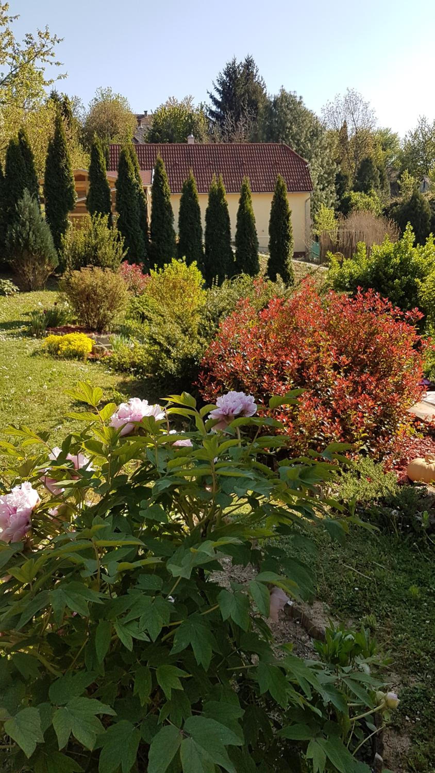 Photo 10