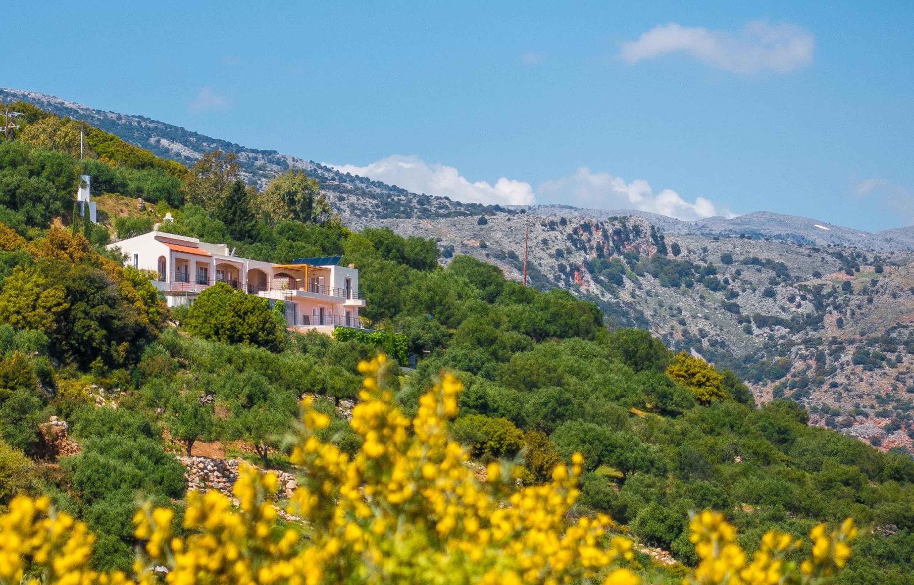 Villa Dio Petres photo 4