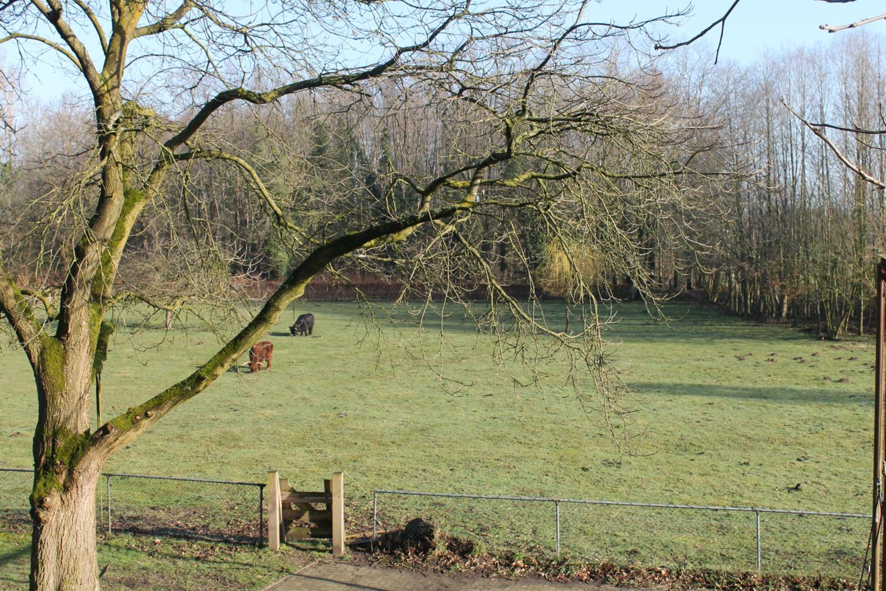 Gastenverblijf Peppelmate, photo 16