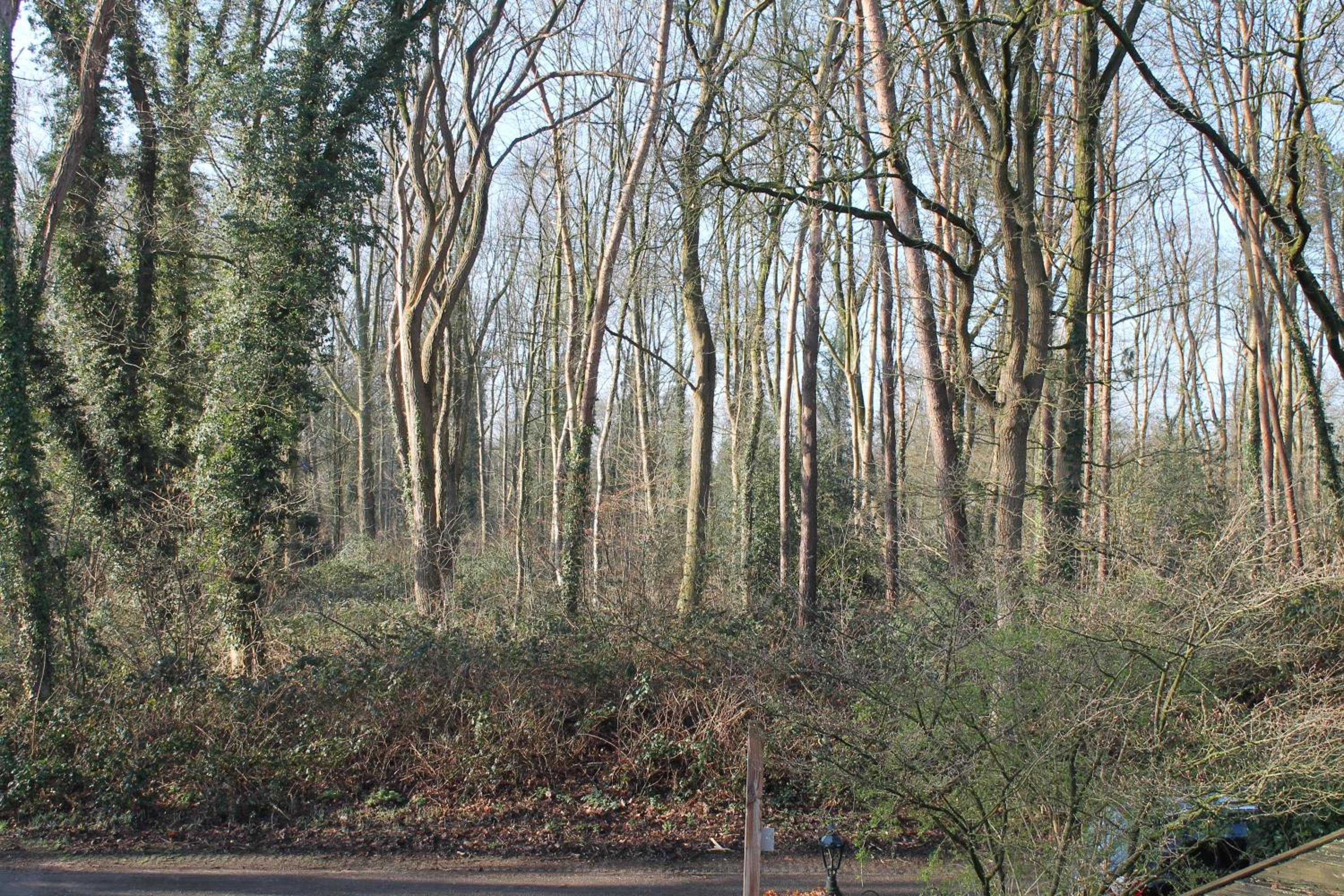 Gastenverblijf Peppelmate, photo 17