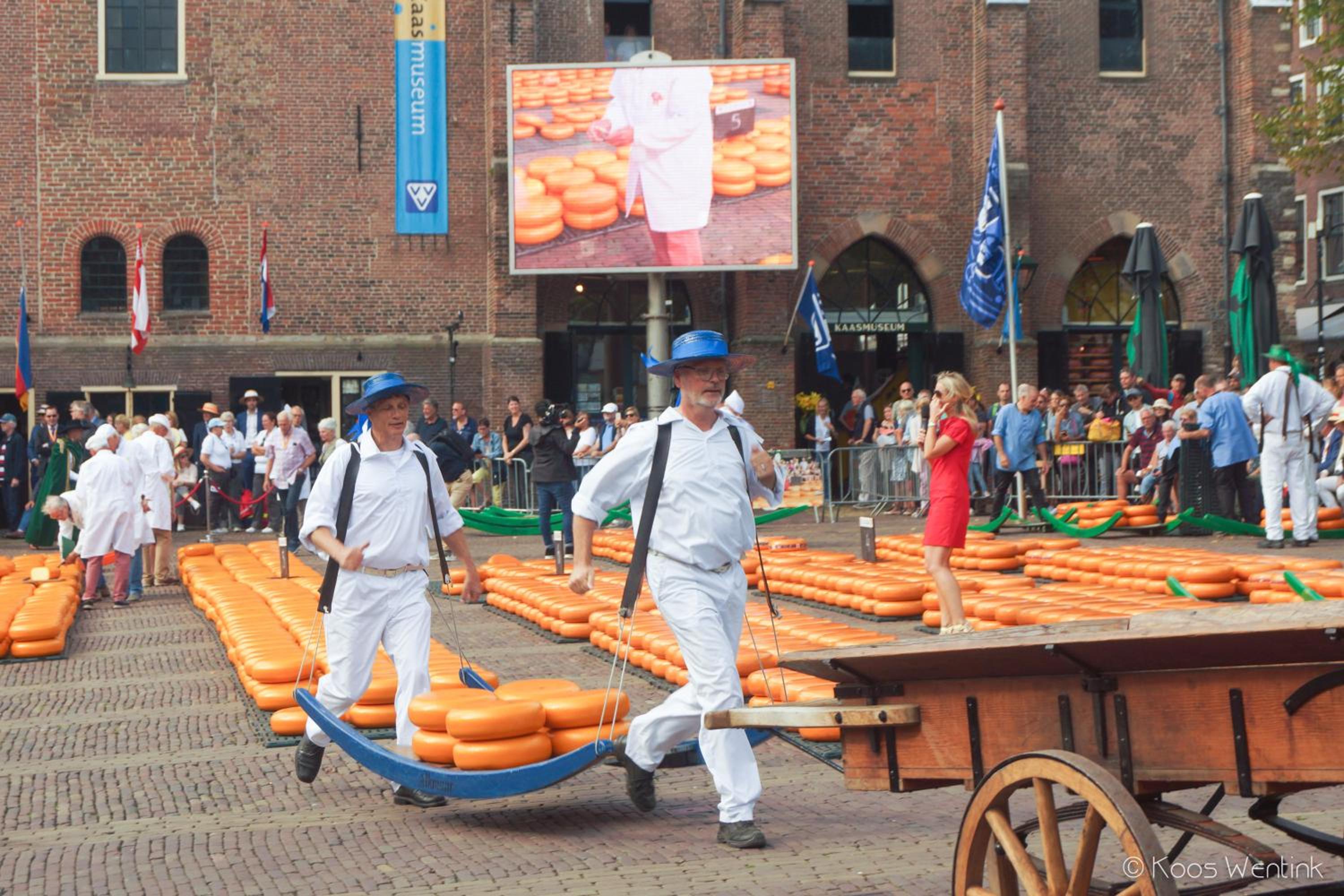 Klein Heemshof - Noord Holland aan uw voeten
