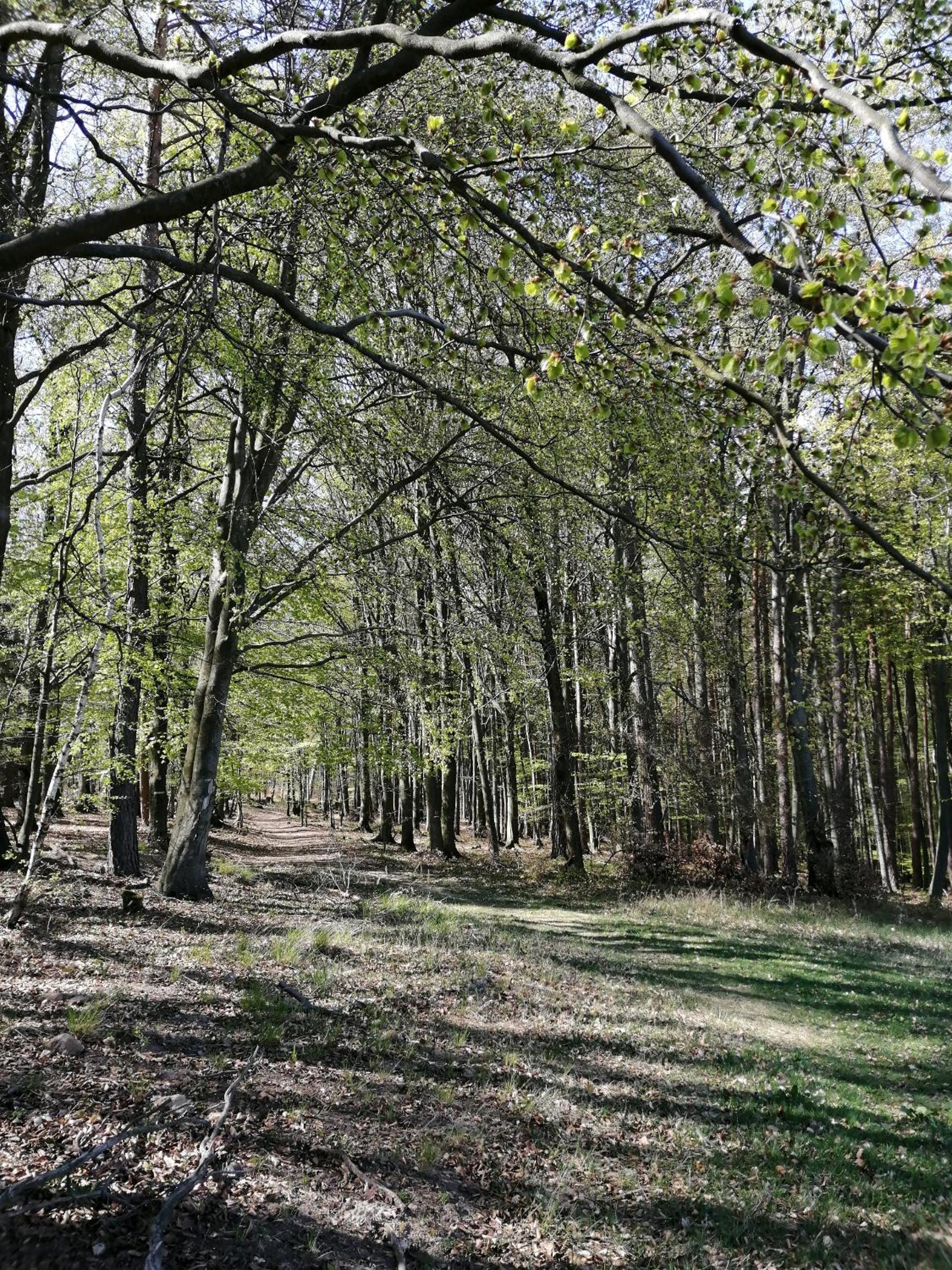 Photo 25