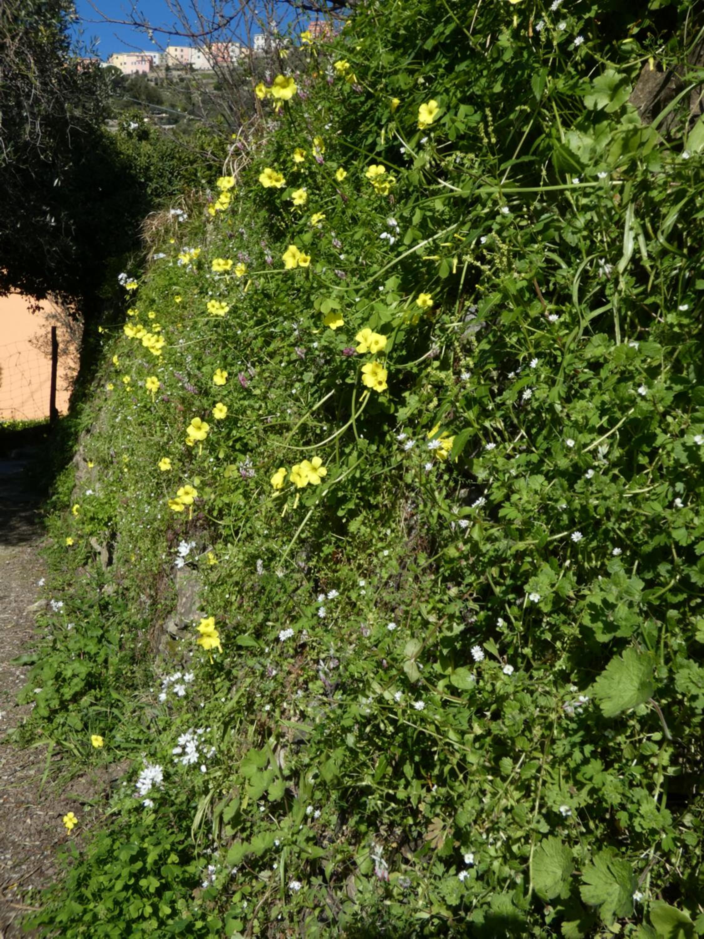 Il Laghello di Amina - Property Image 22