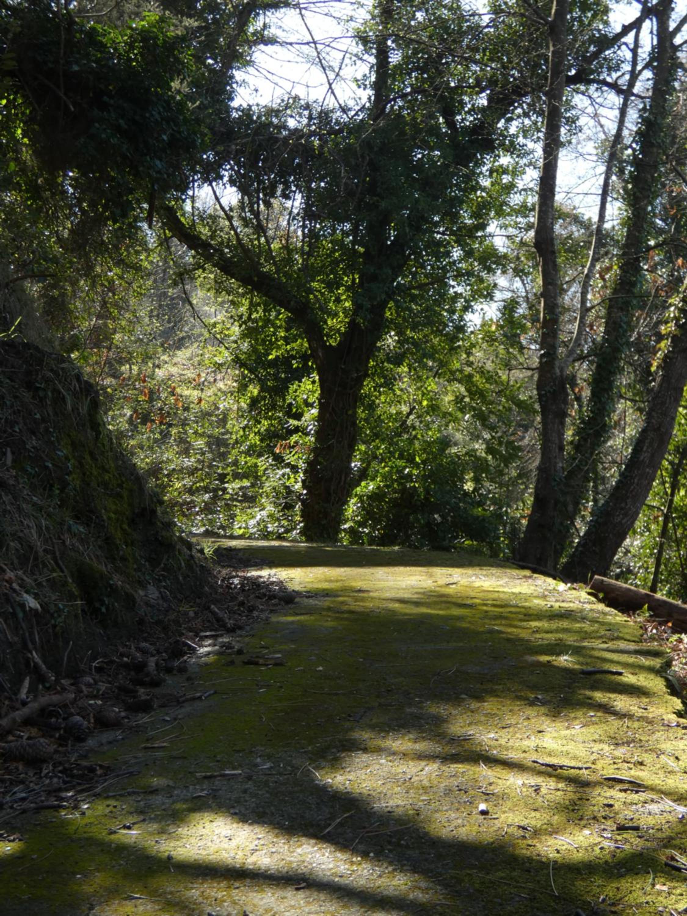 Il Laghello di Amina - Property Image 33