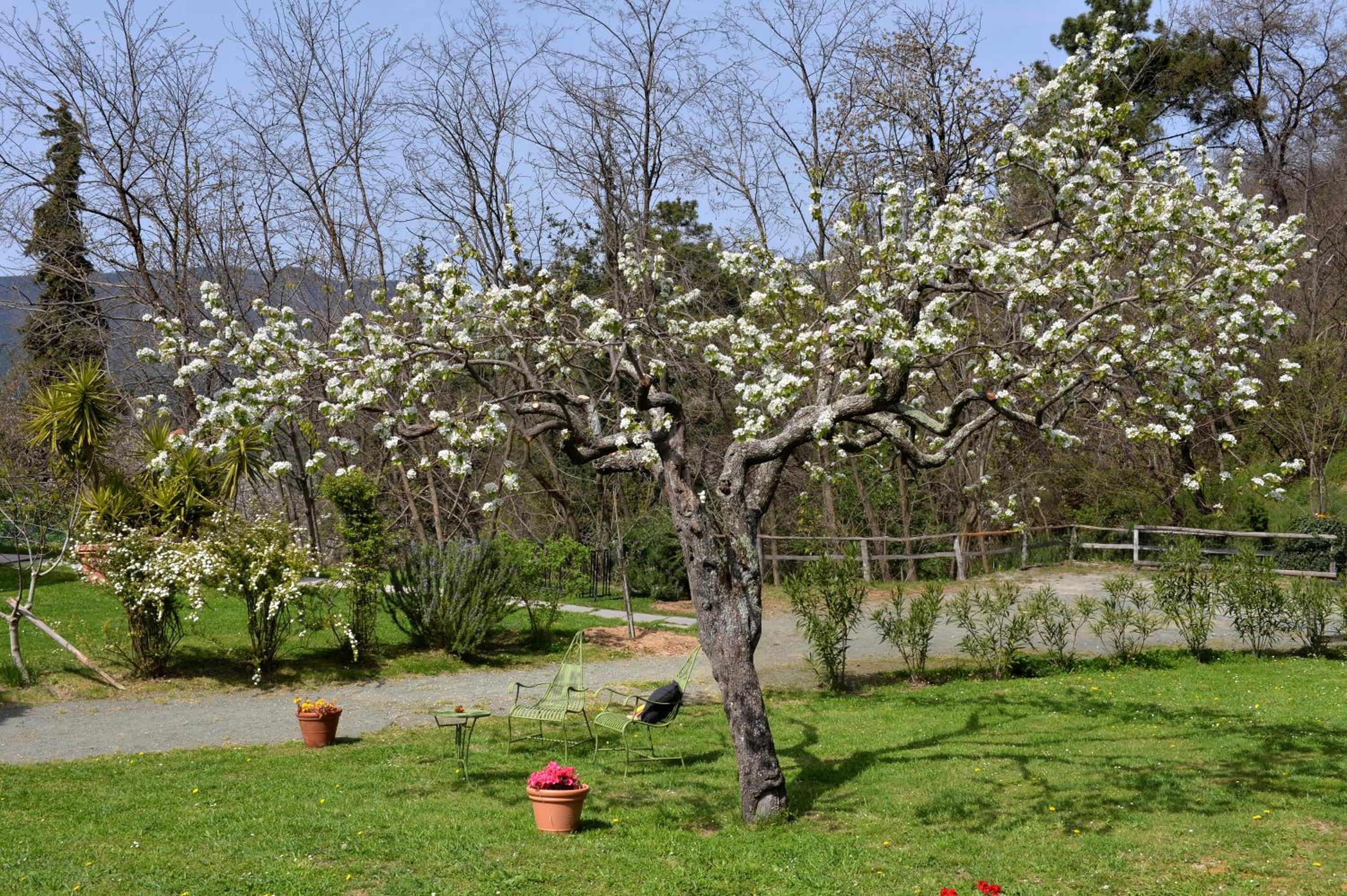 Il Laghello di Amina - Property Image 34