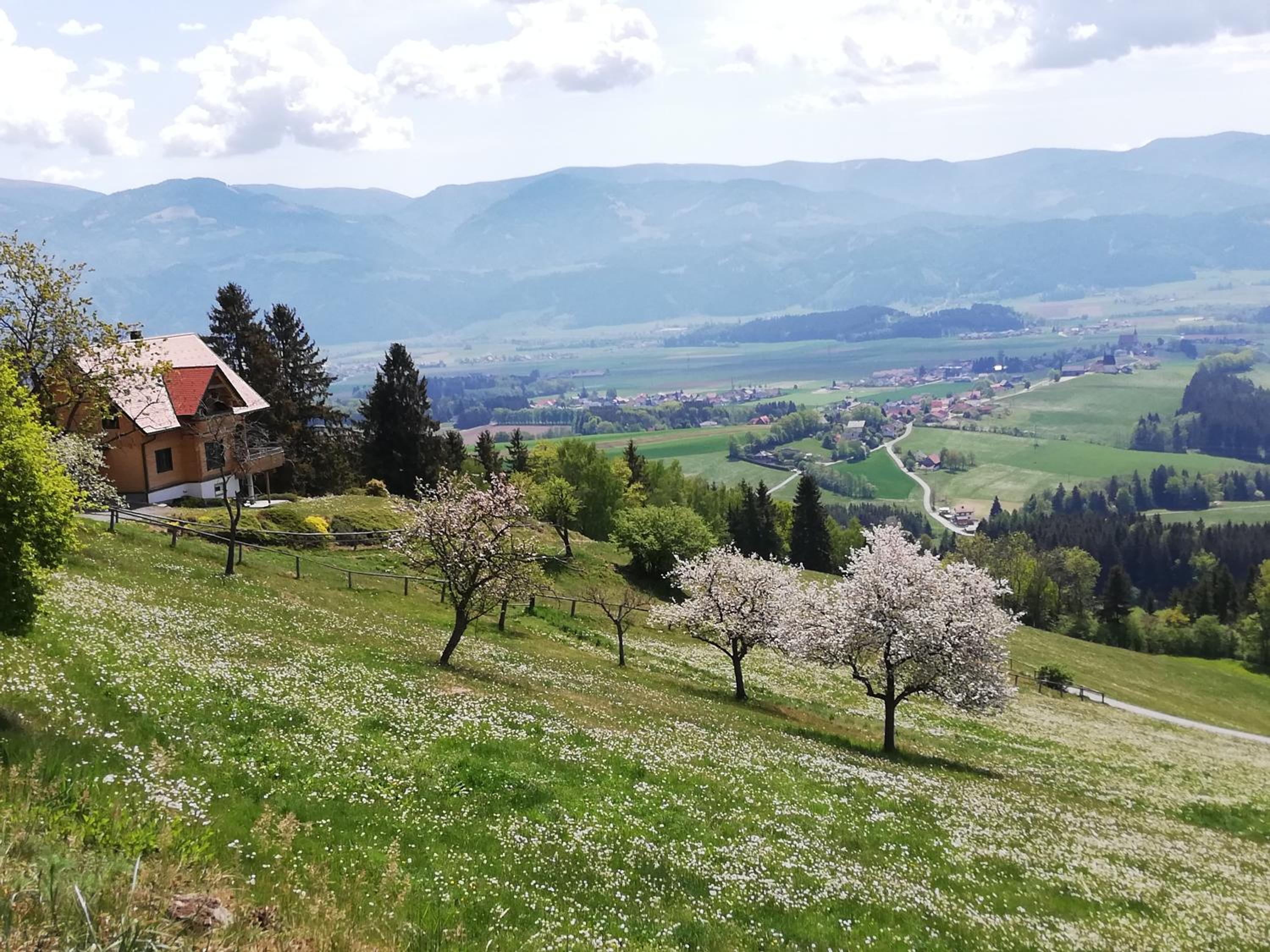 Ferienhaus Hochfelner
