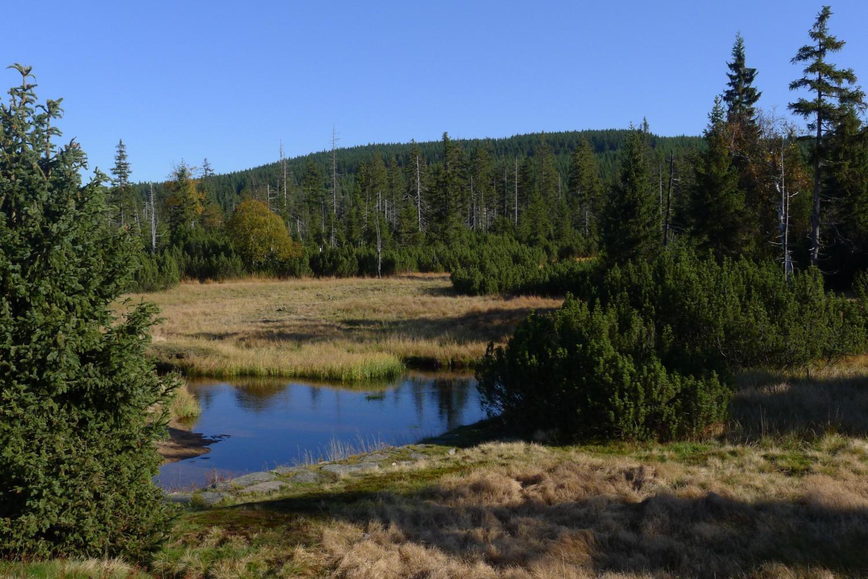 Photo 46