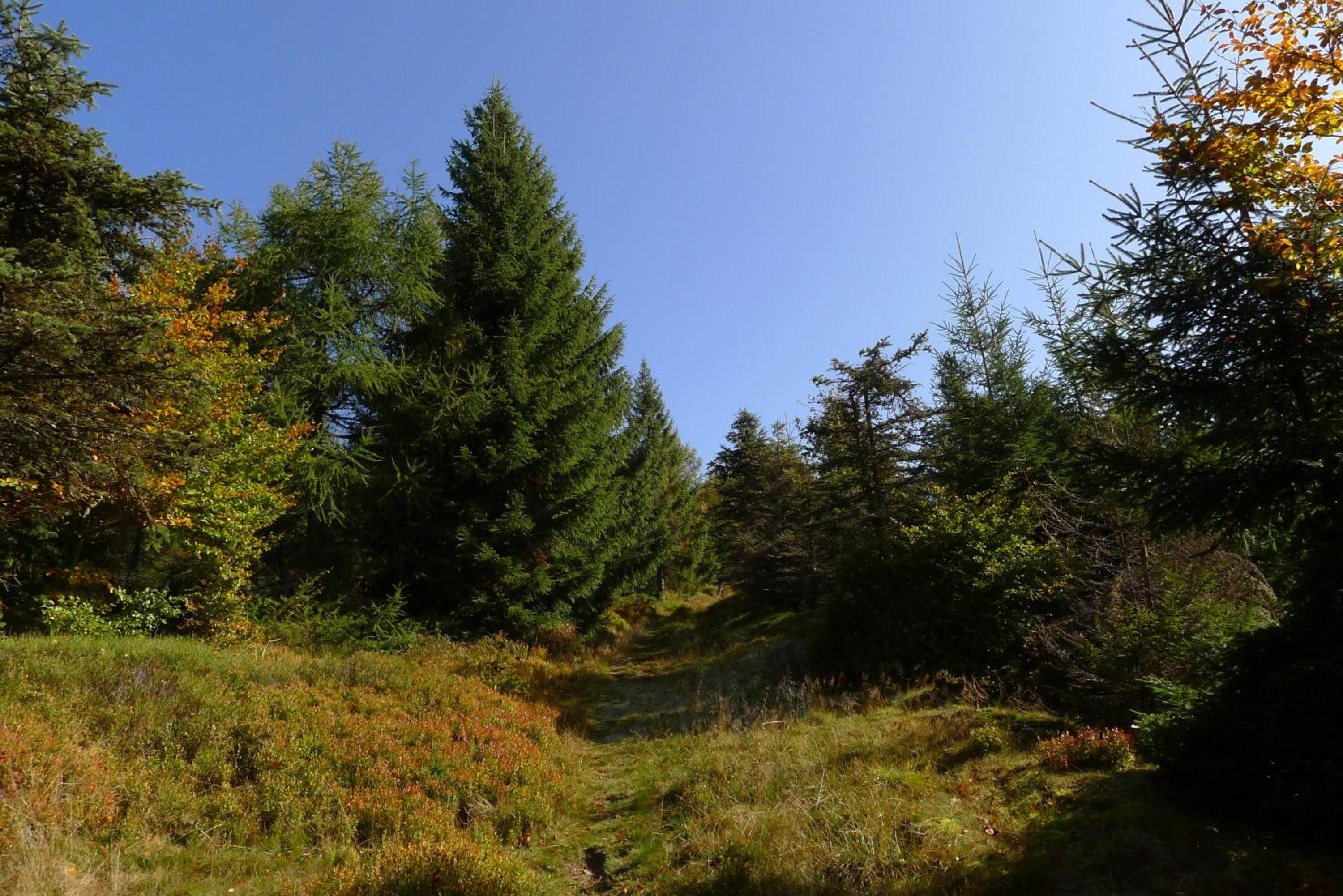 Photo 48