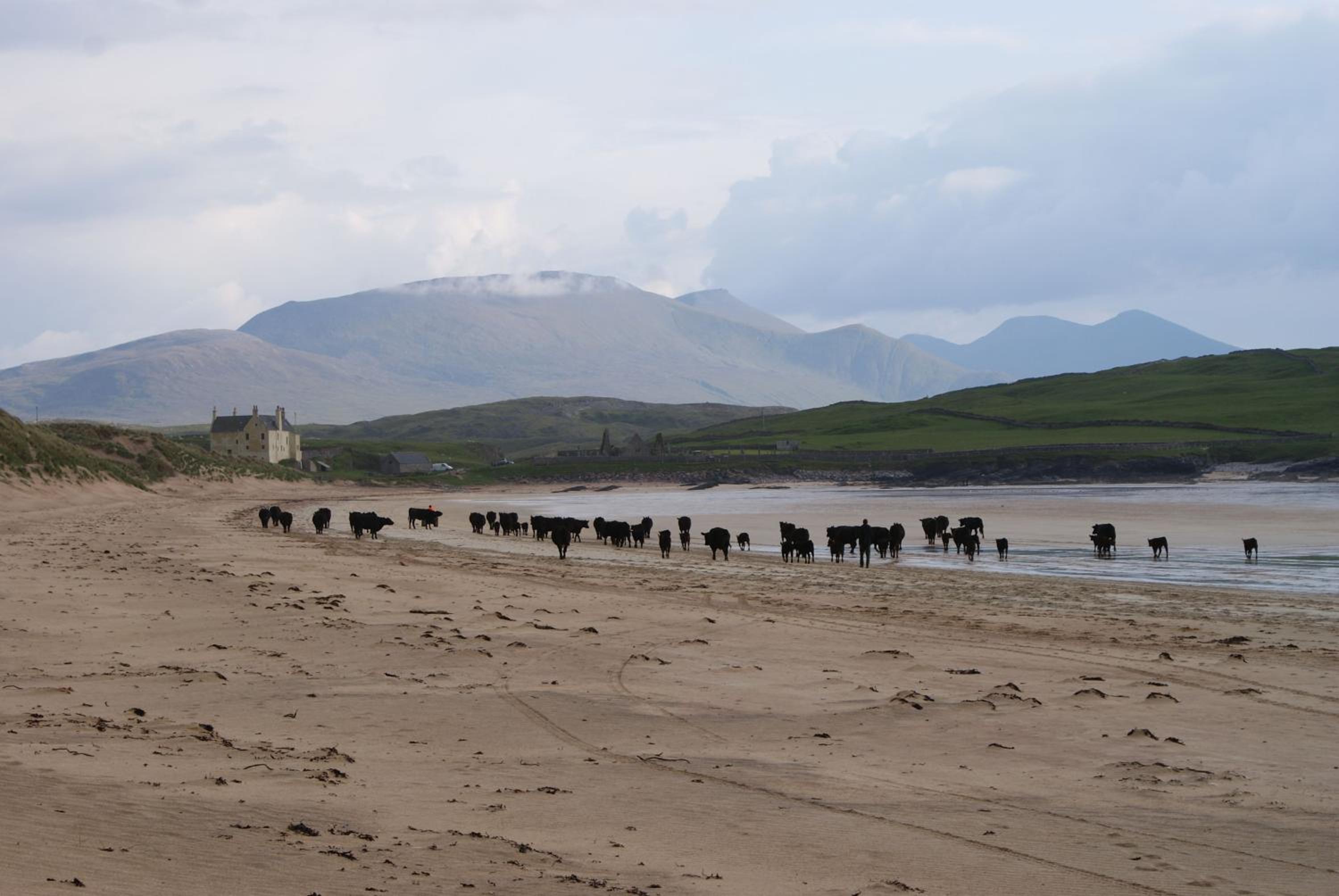 Balnakeil House