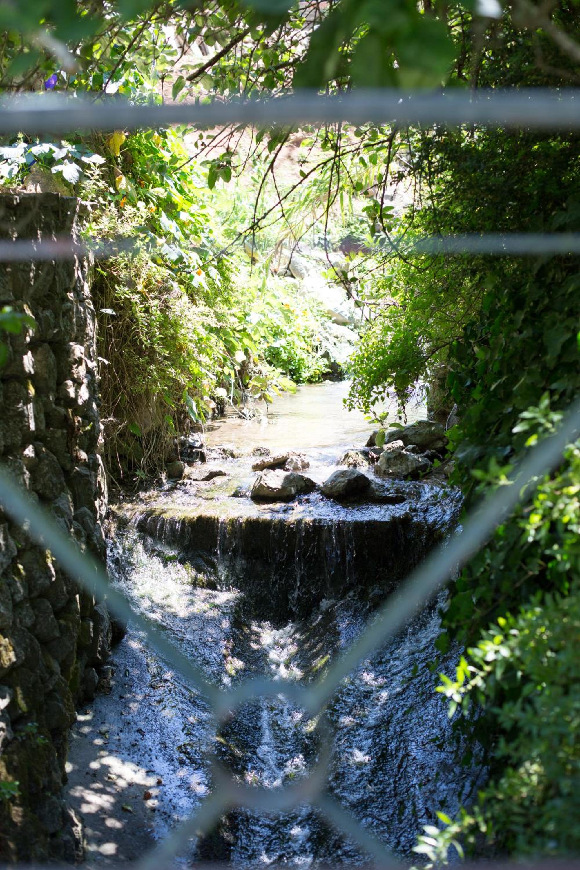 Sintra Center Guest House Escape to Nature view 4