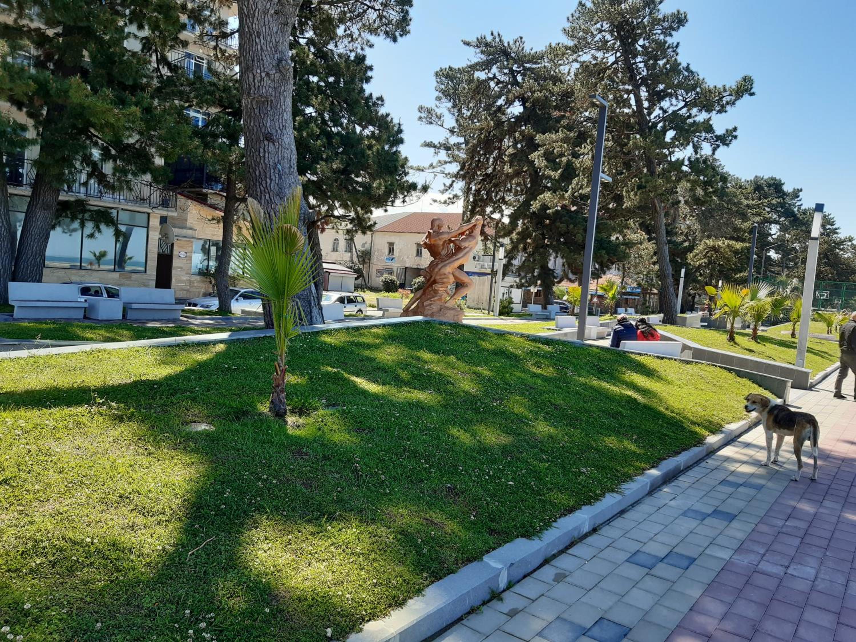 Photo 21