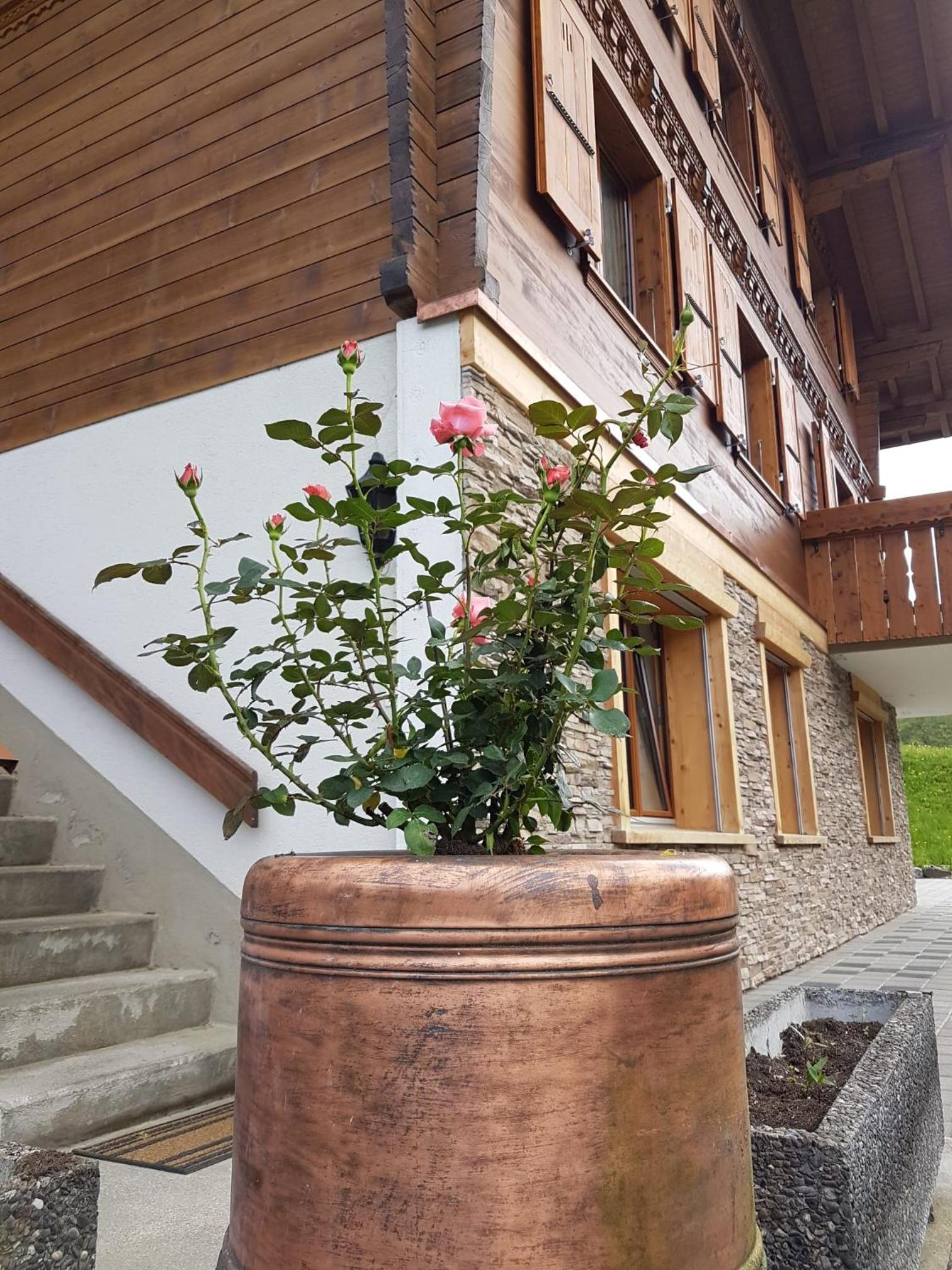 Chalet Grüneggli