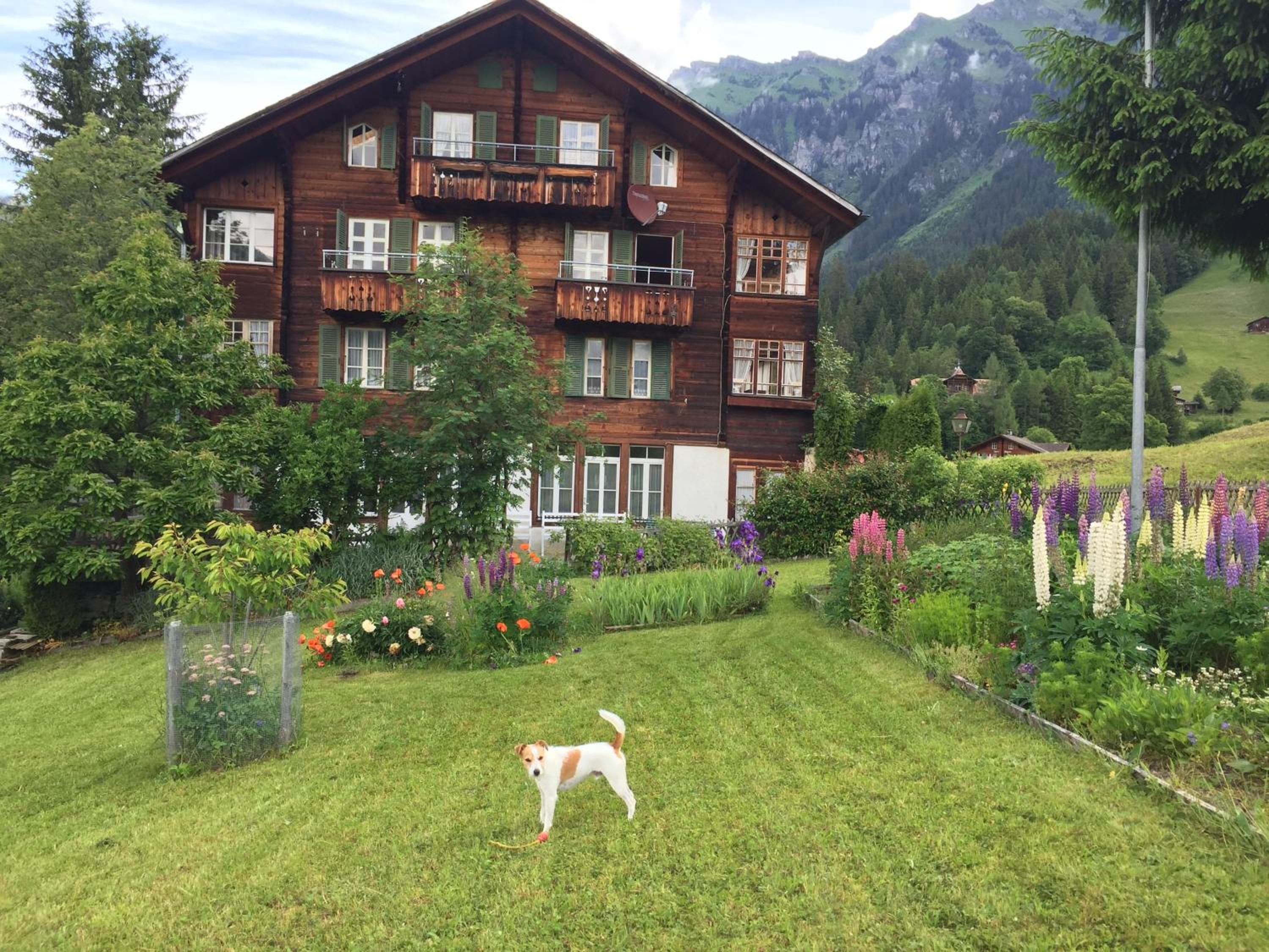 Staubbachbänkli view 3