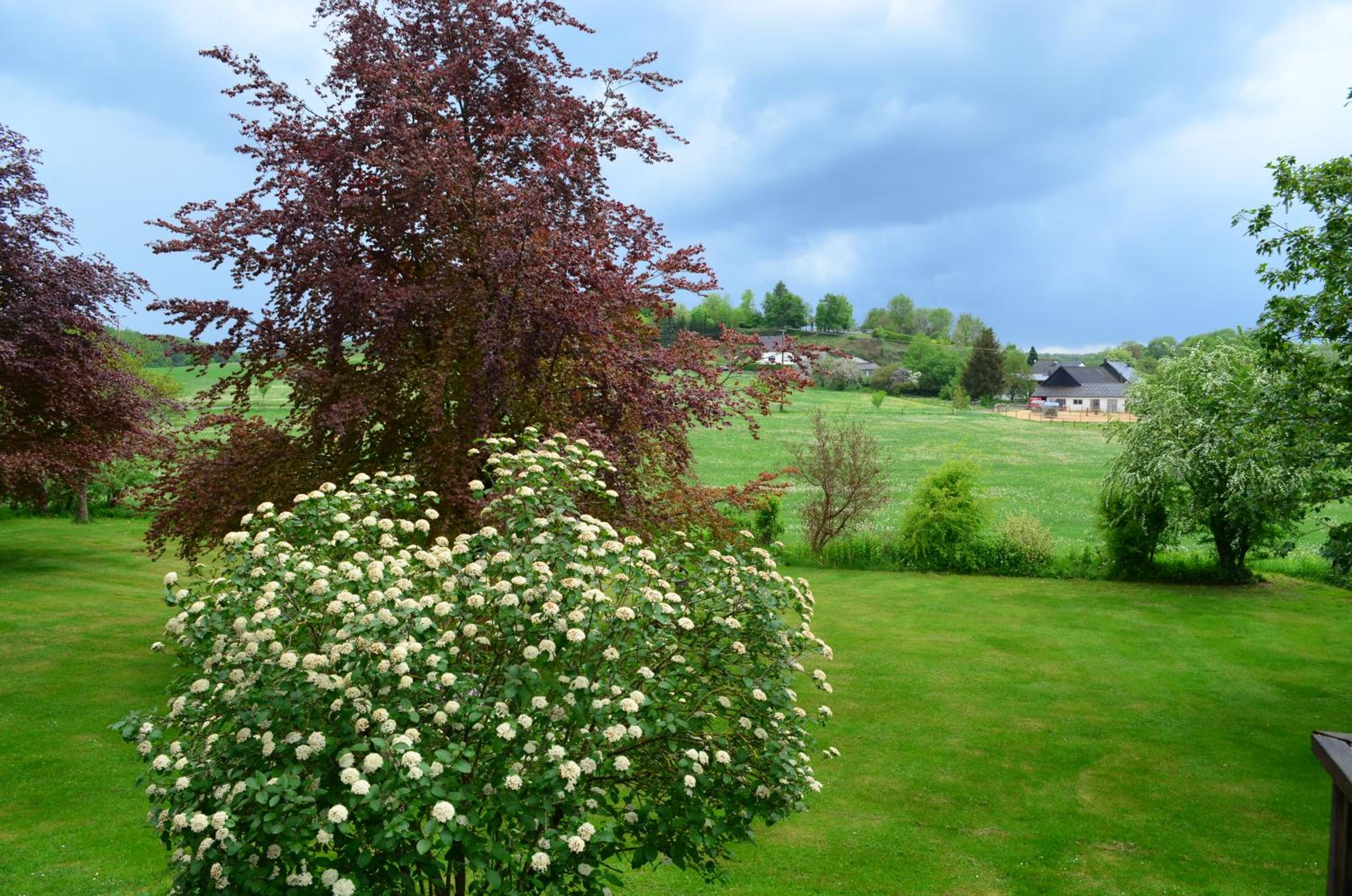 Ferienhaus Thelen