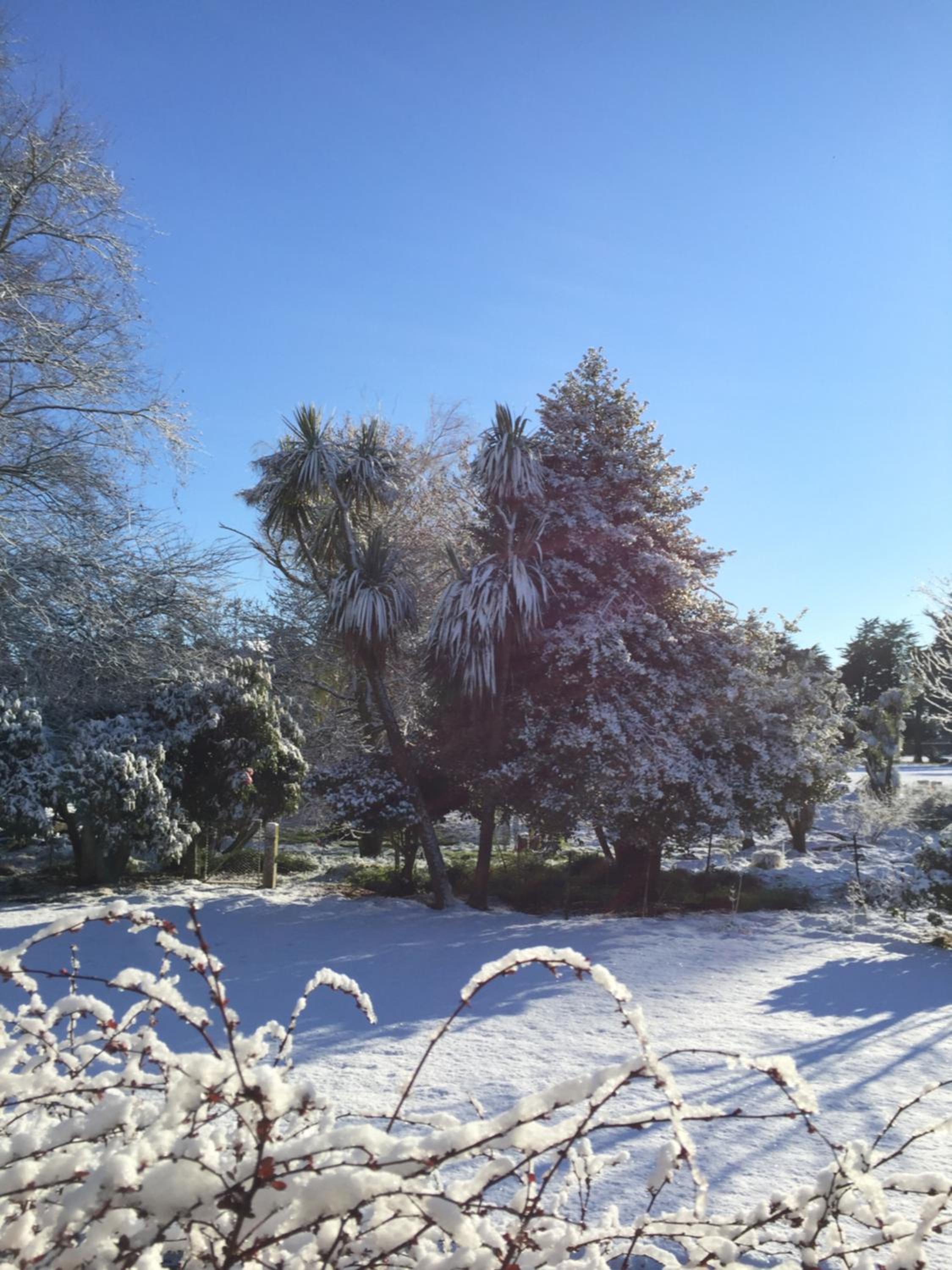 Holmestead Farm