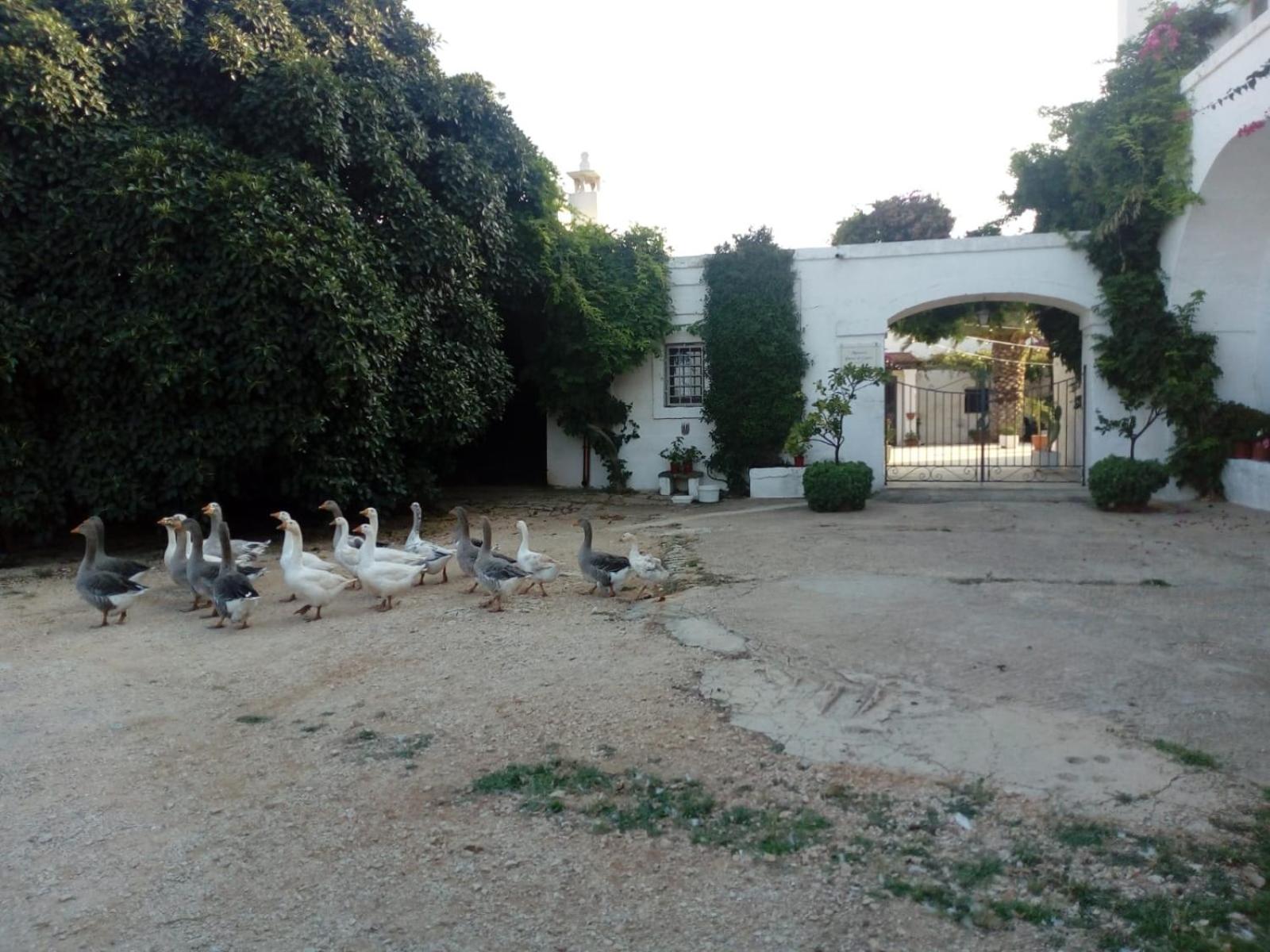 Photo 100