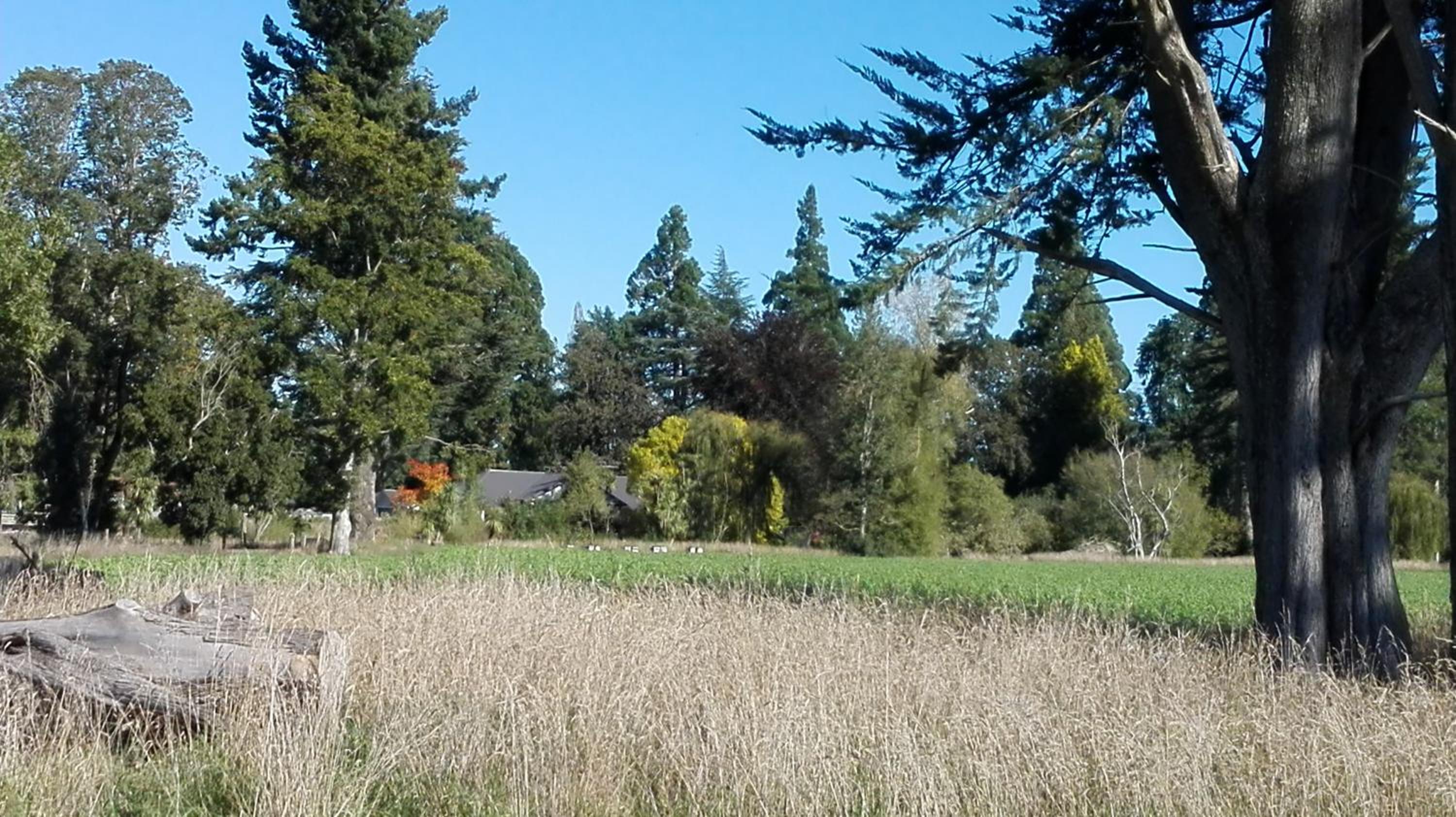 Holmestead Farm