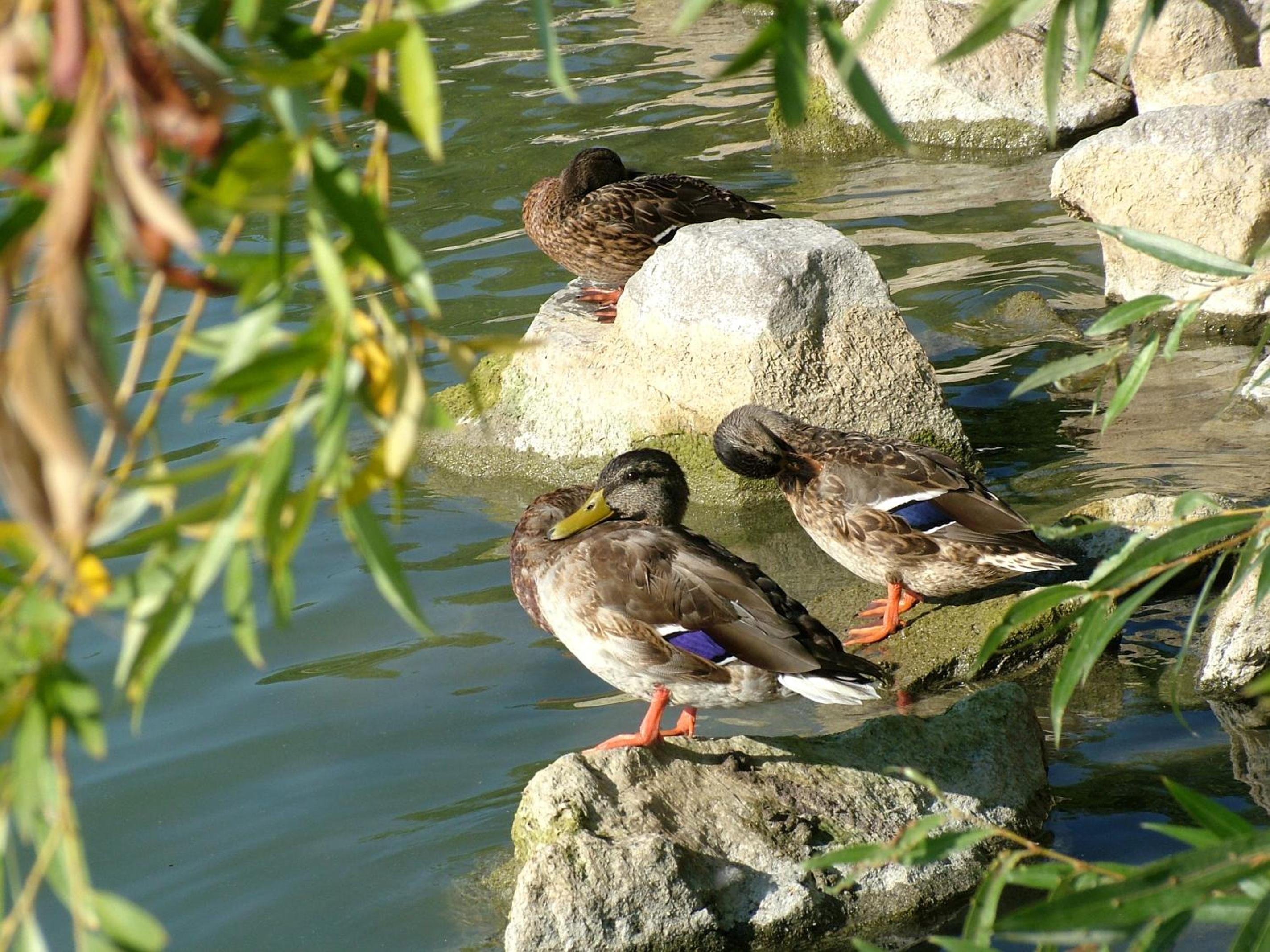 Photo 26