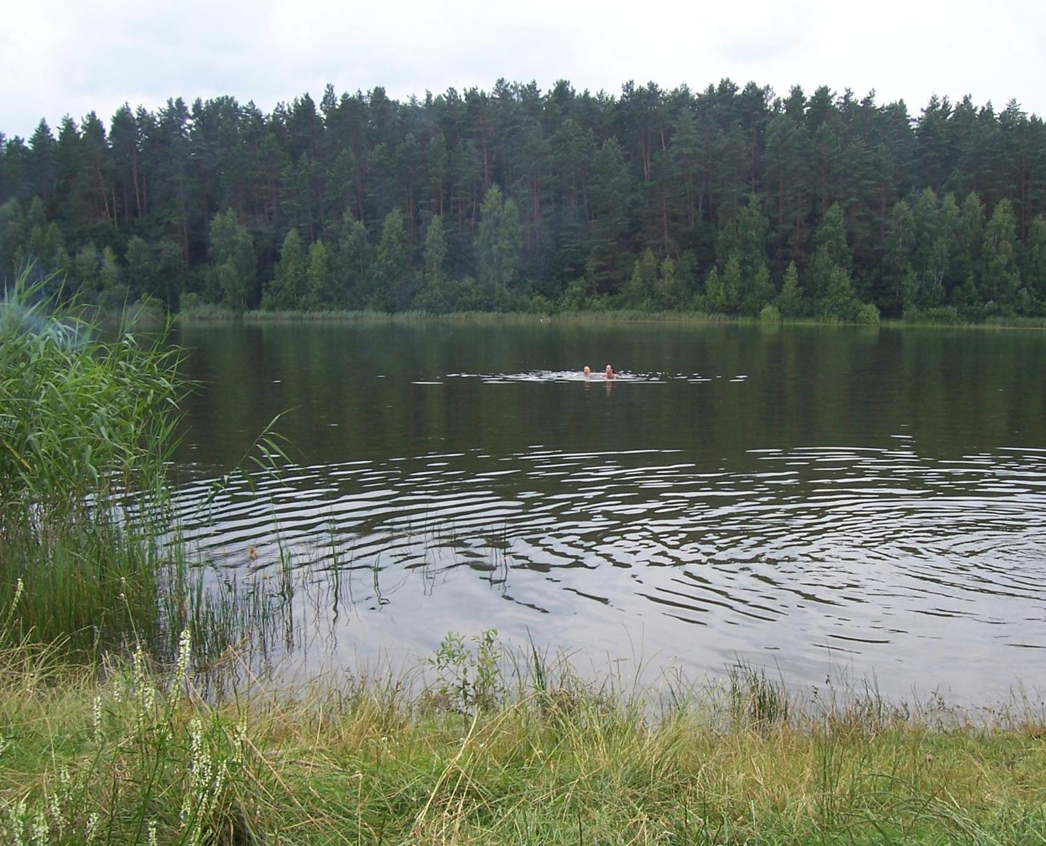 Gosciniec Nad Stawem view 5