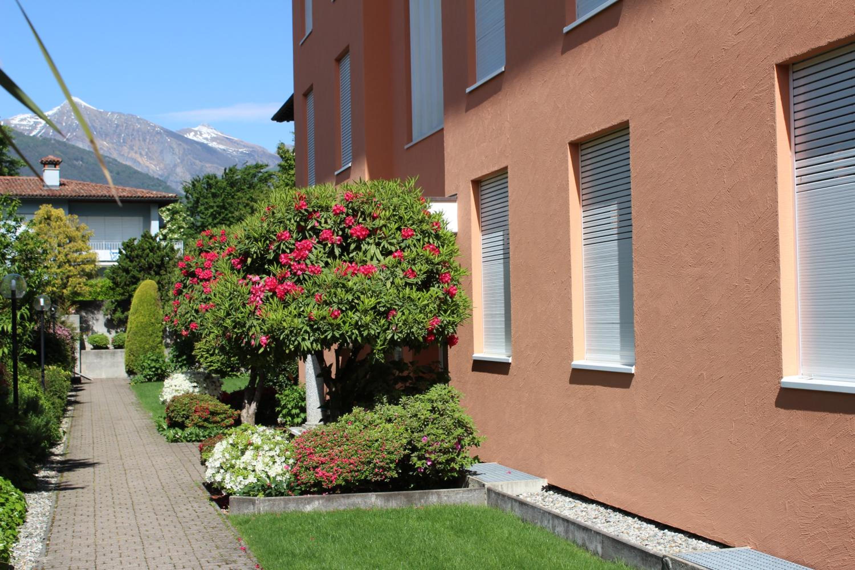 Photo 6