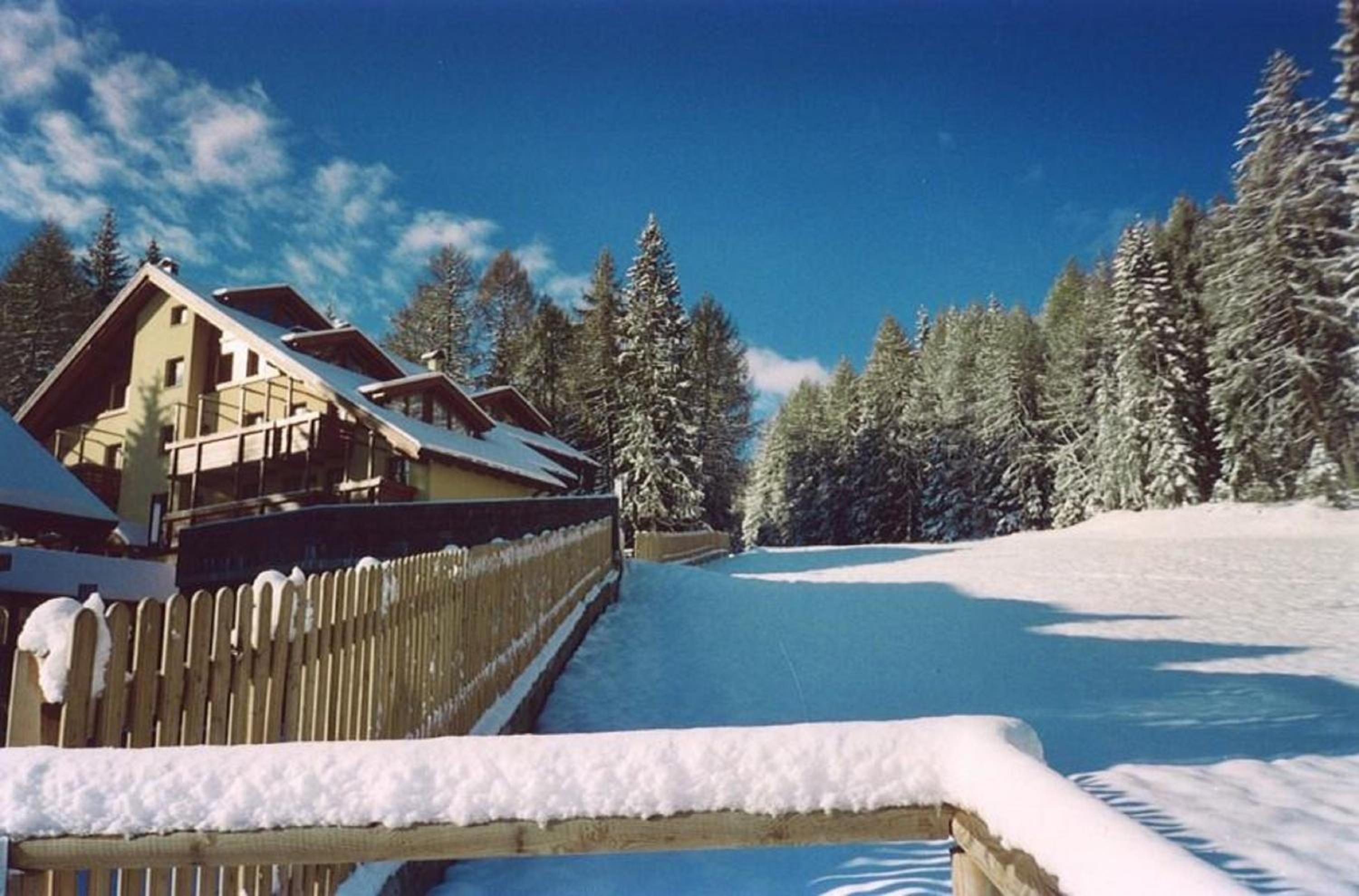 Photo 46