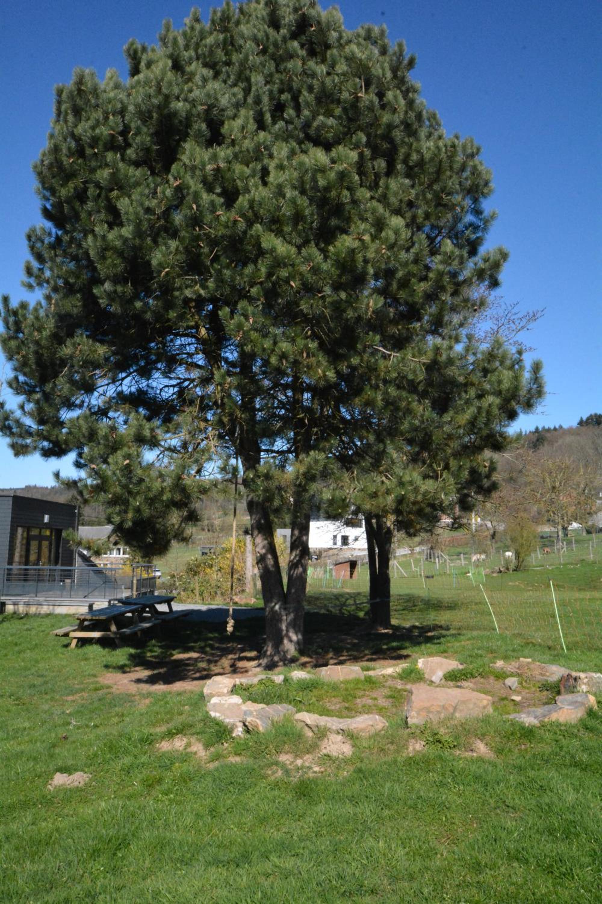 Le Fagotin - Youth hostel
