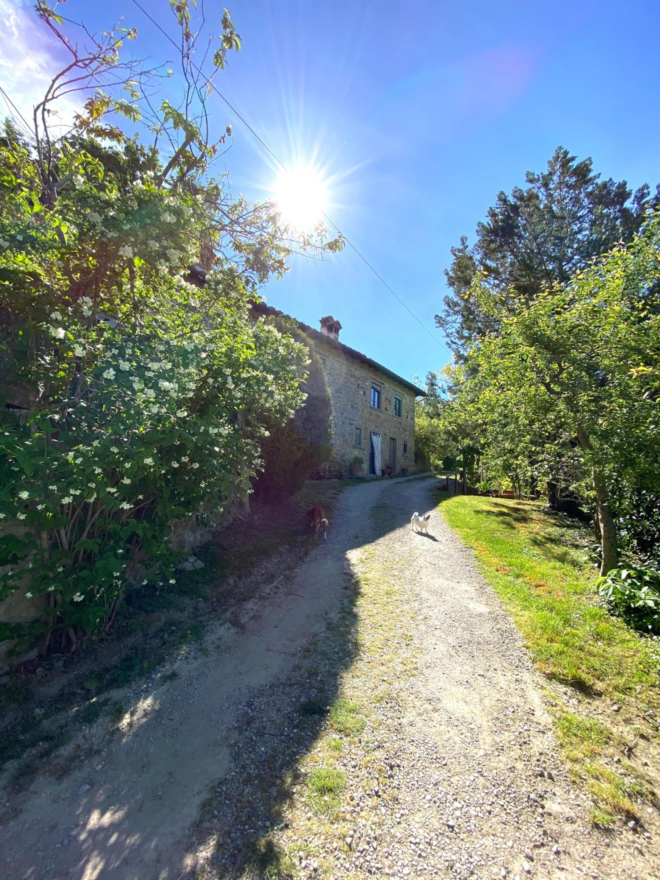 Photo 21