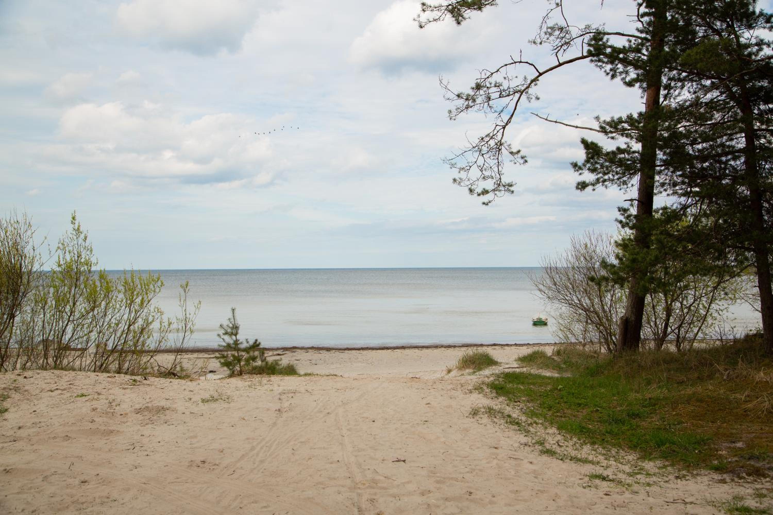 Photo 30