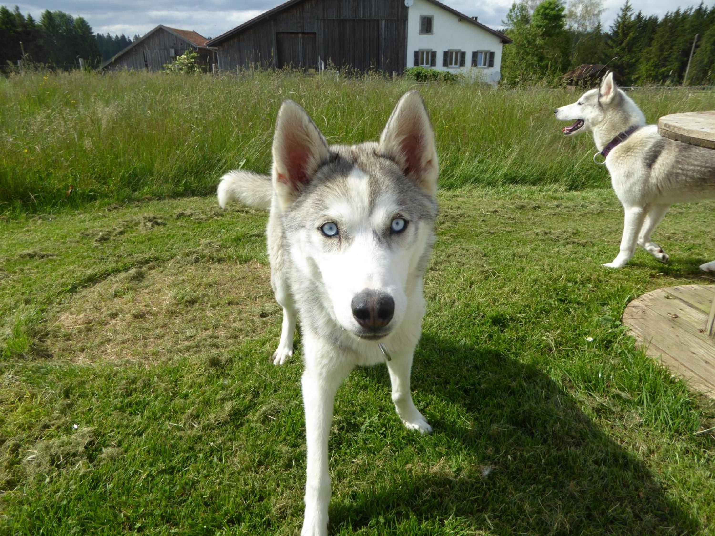 Photo 26