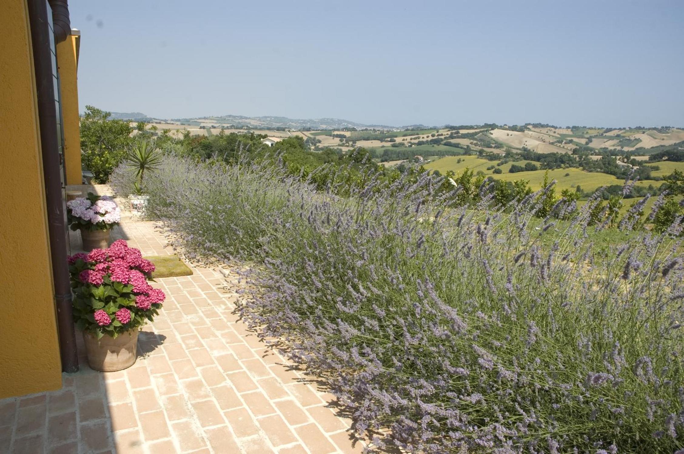 Country House Il Sassòne, photo 17