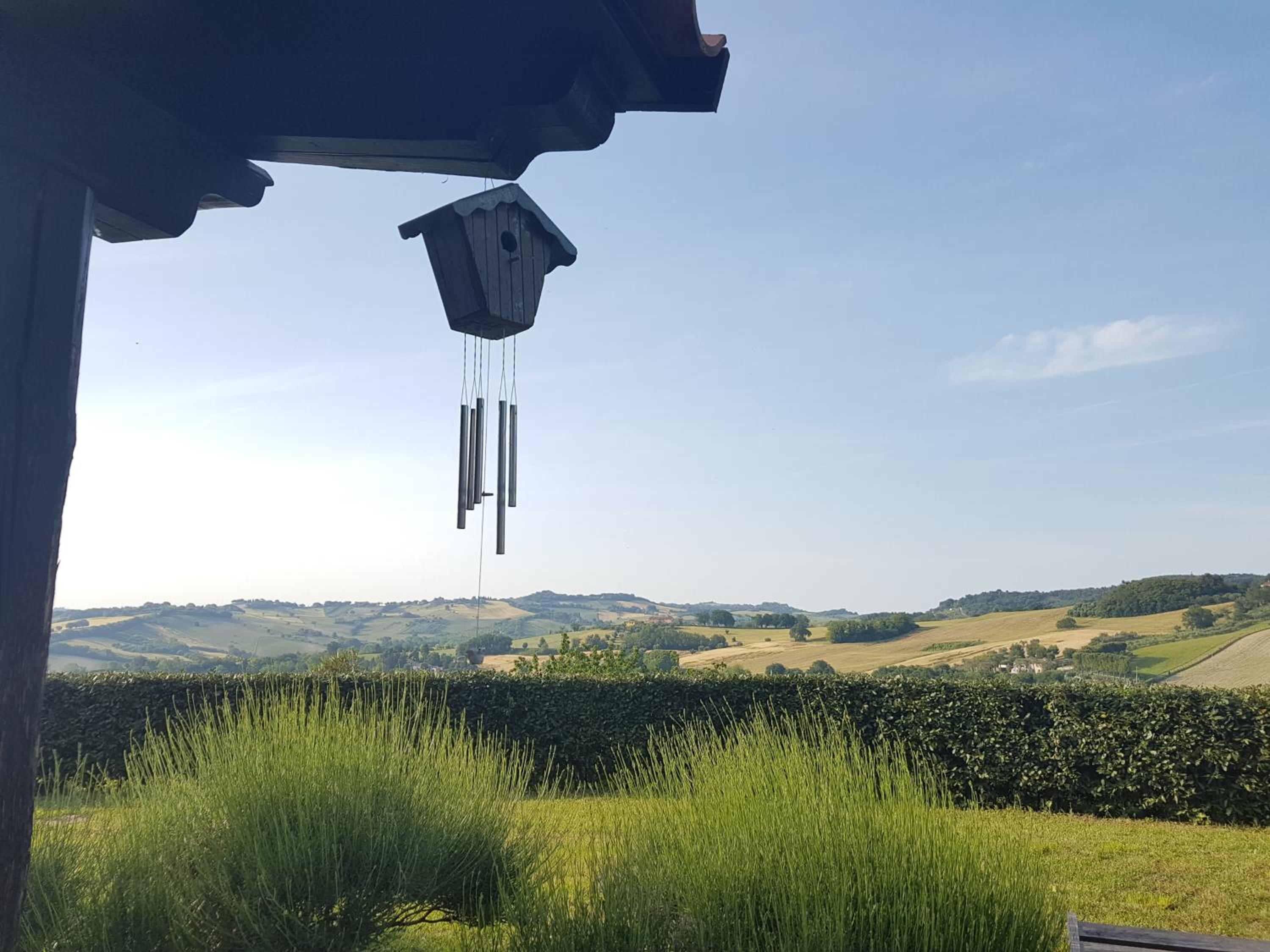 Country House Il Sassòne
