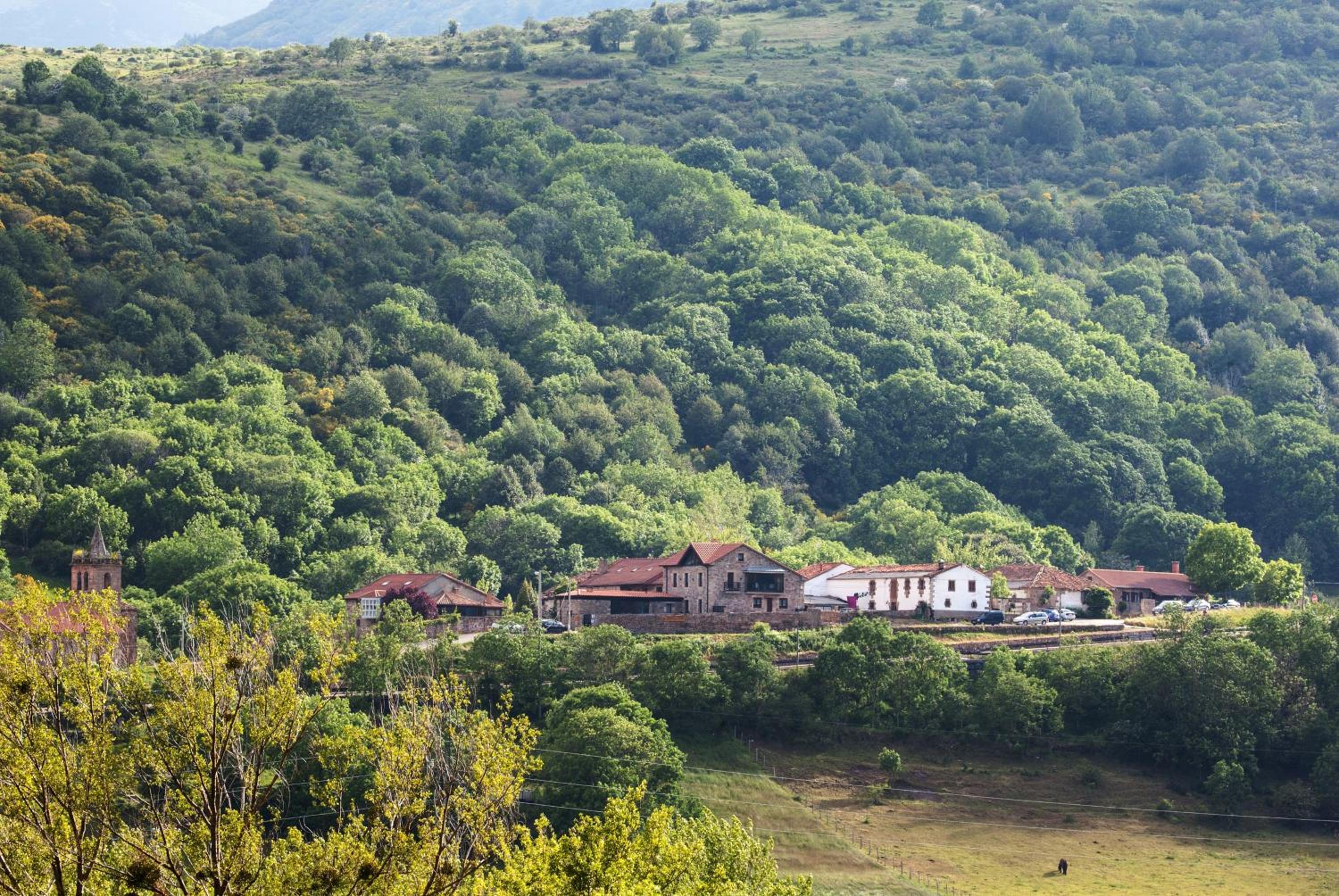 El Balcon De La Lomba