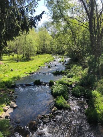 Penzion Rejštejn