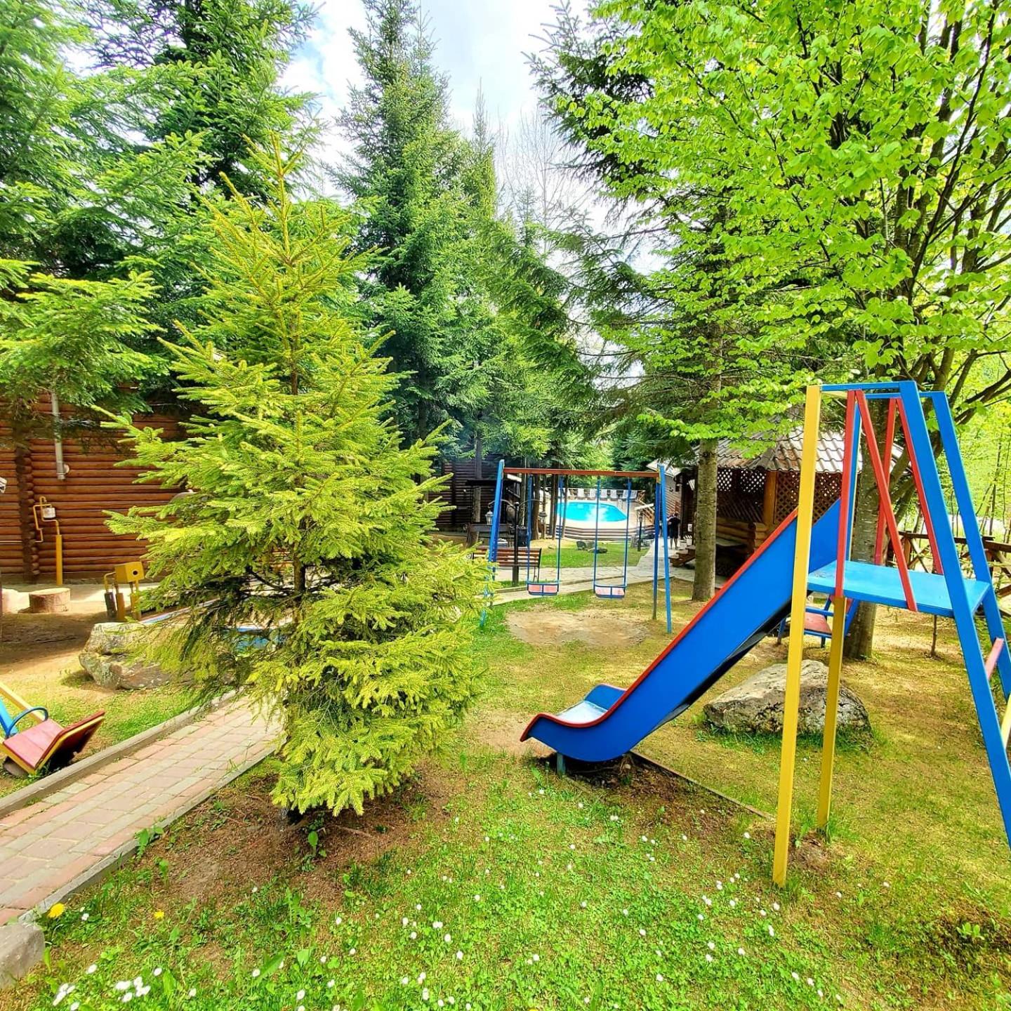 Photo 41