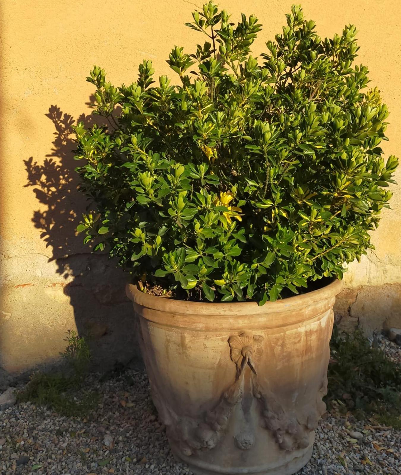 Photo 24