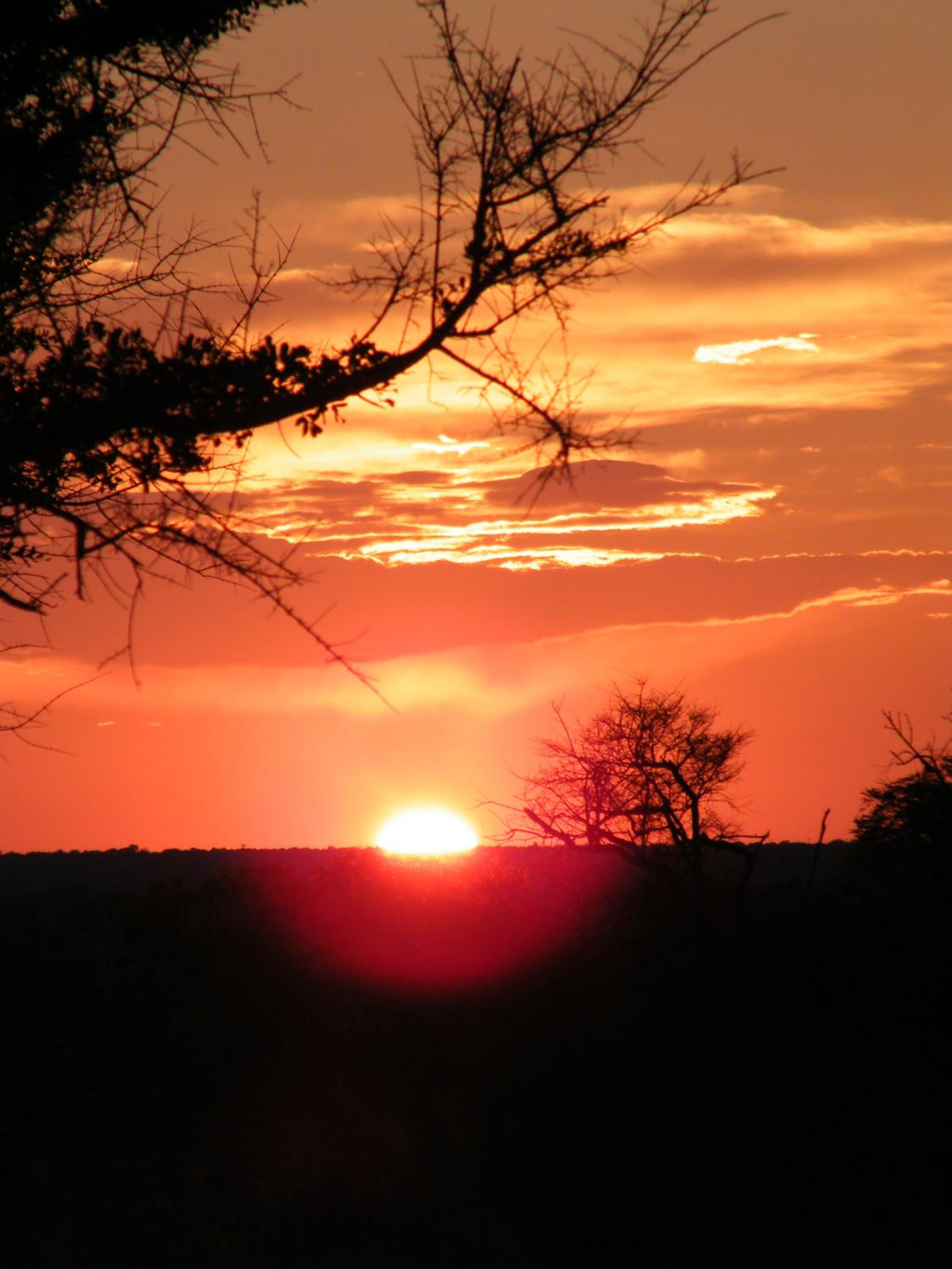 Mziki Safari Lodge