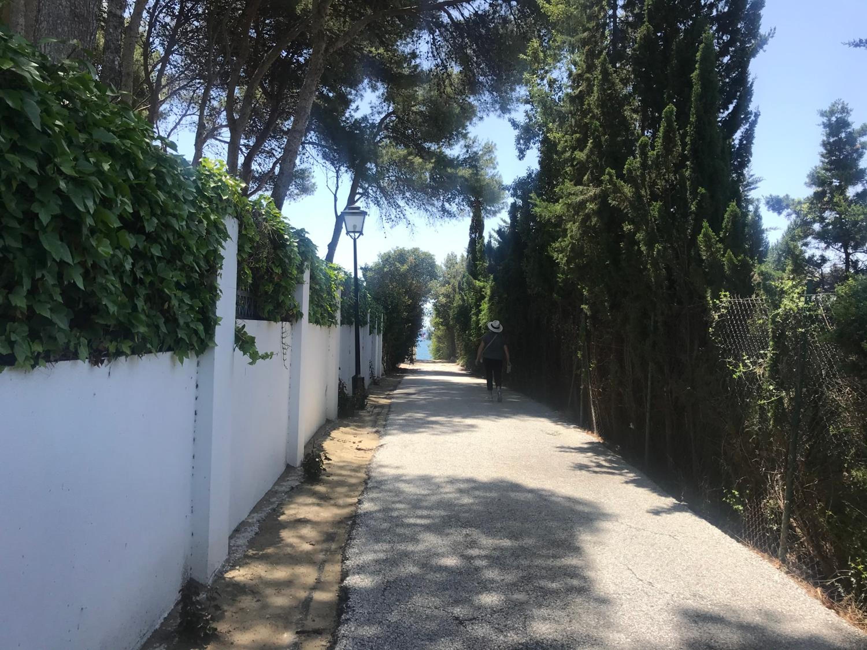Photo 47