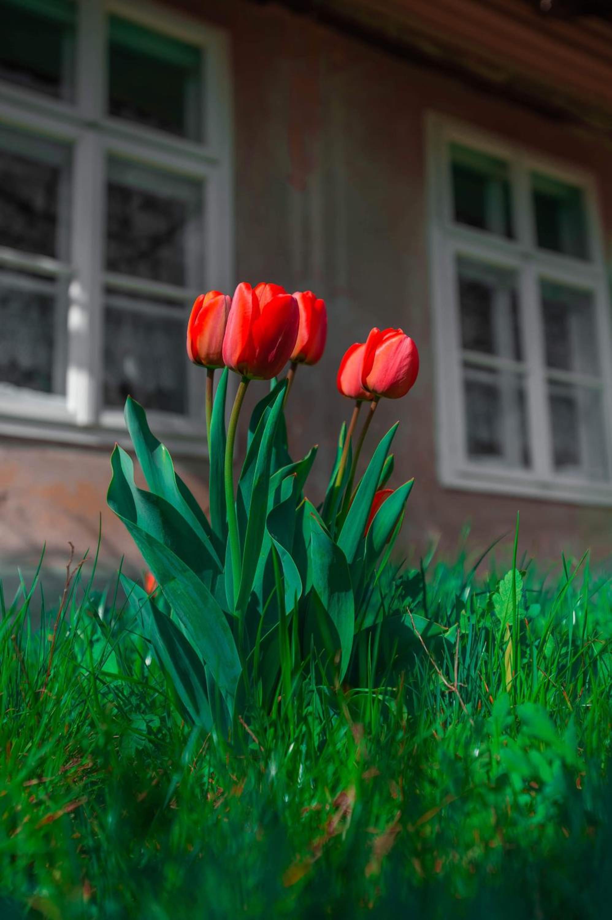 Photo 8